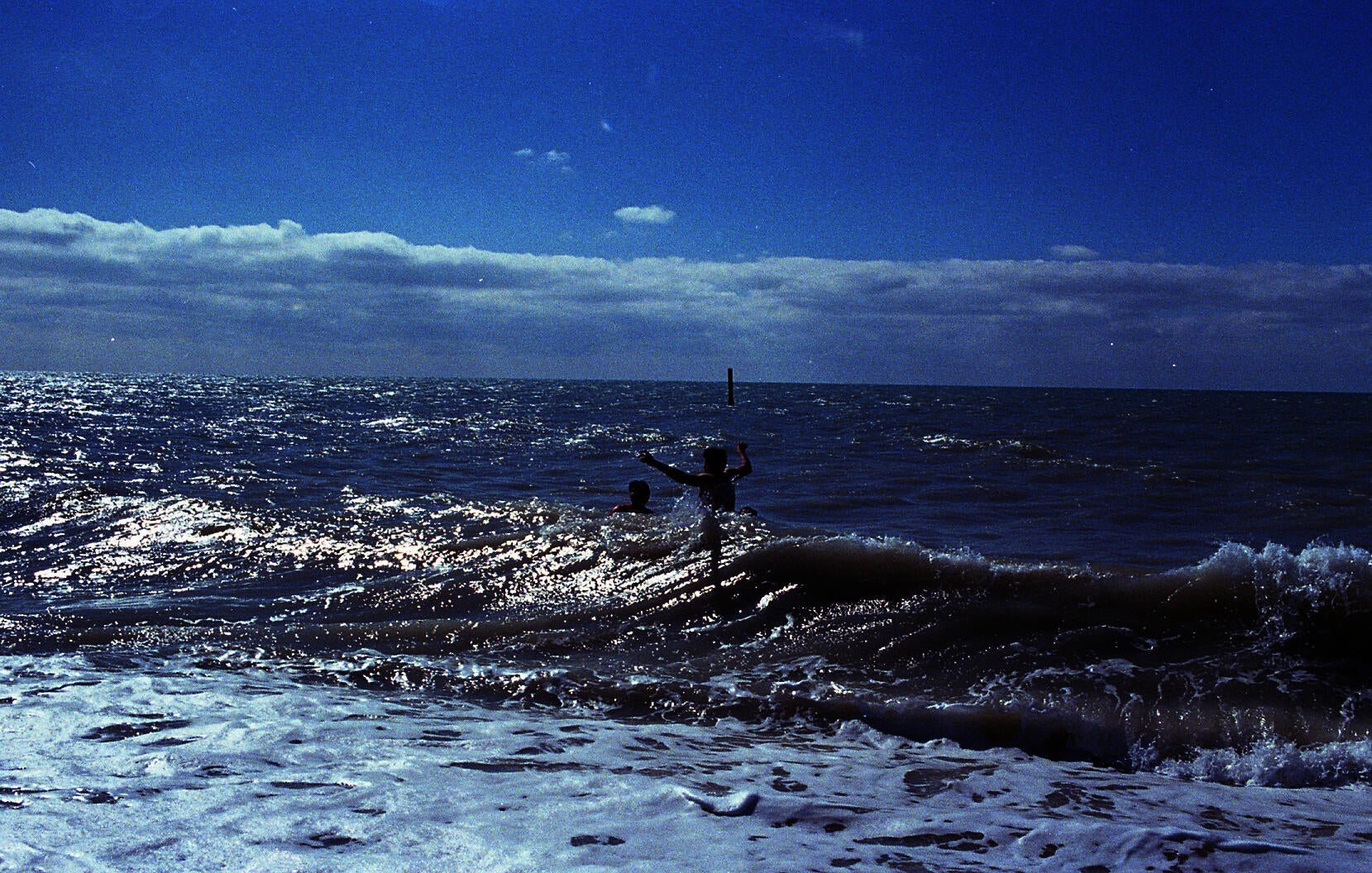 Brothers in Wave / Light
