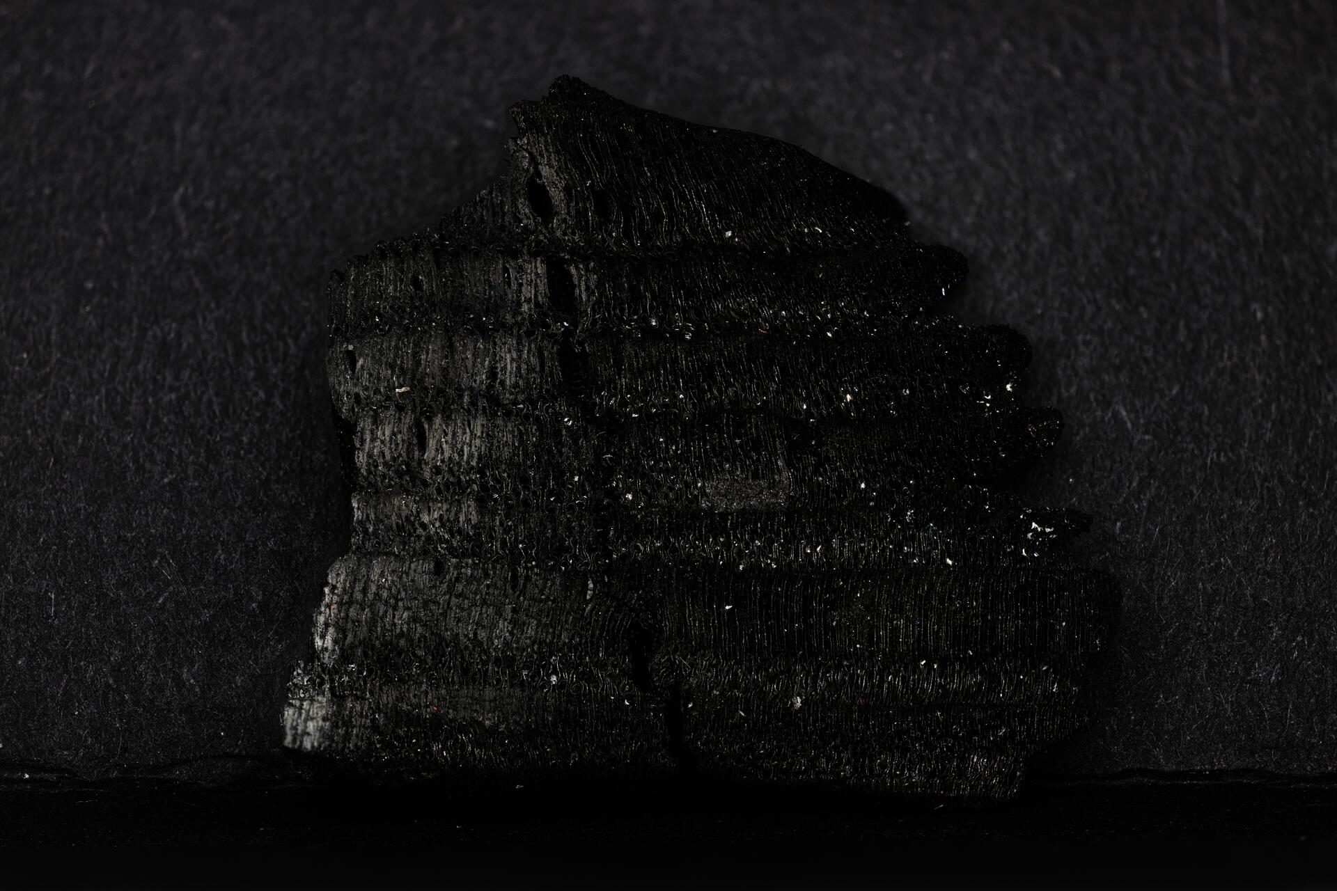 Macropod photograph of wood biochar