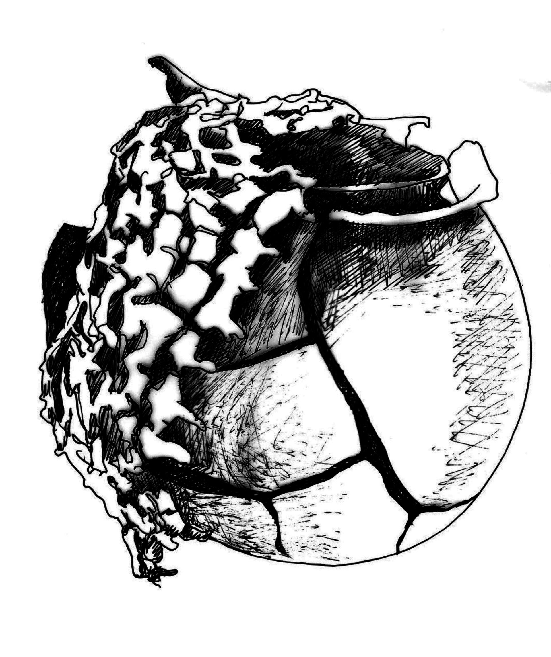 sketch of a broken pot