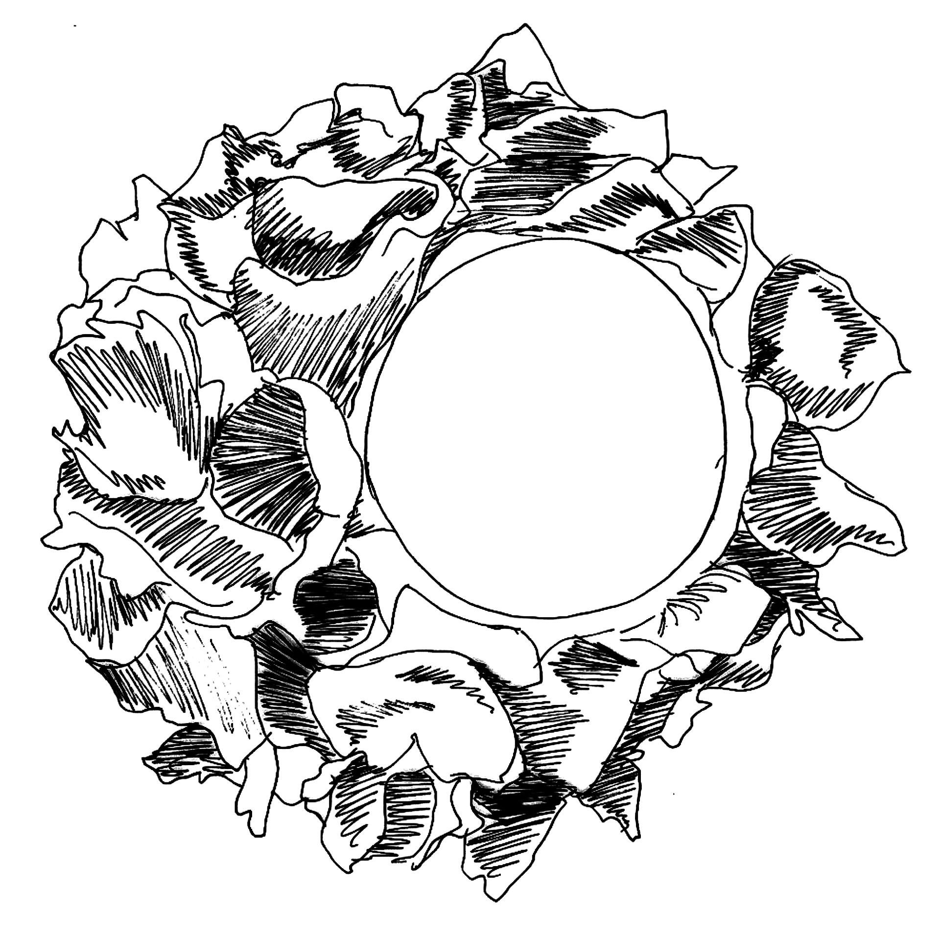 sketch