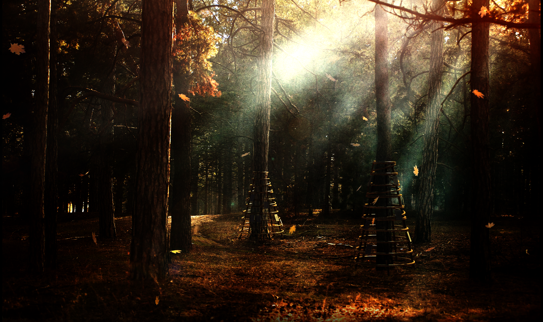 Composite Render of memorial archives in forest.