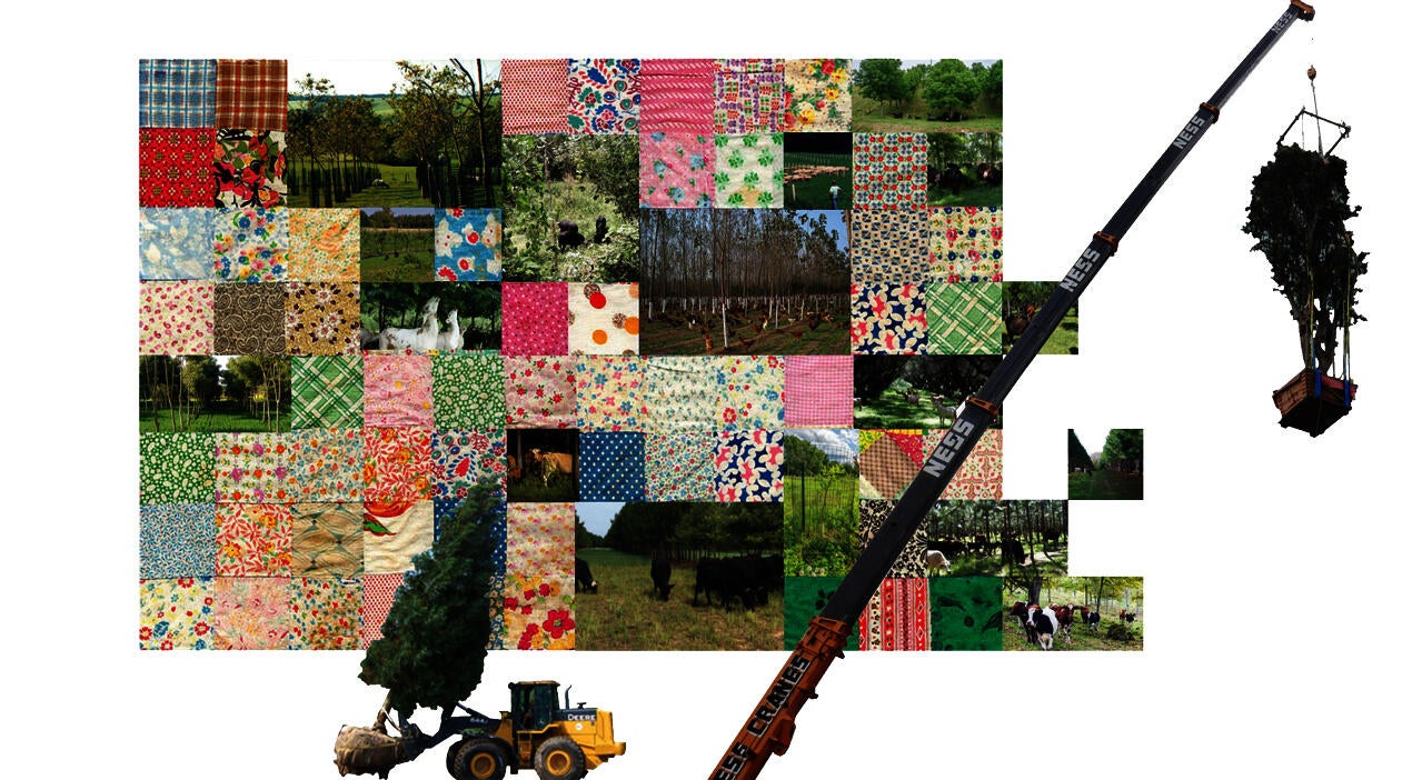 LDAR_Cornelia_Overton_LDAR_Cornelia_Overton_Agroforster's-collective-concept-collage.jpg