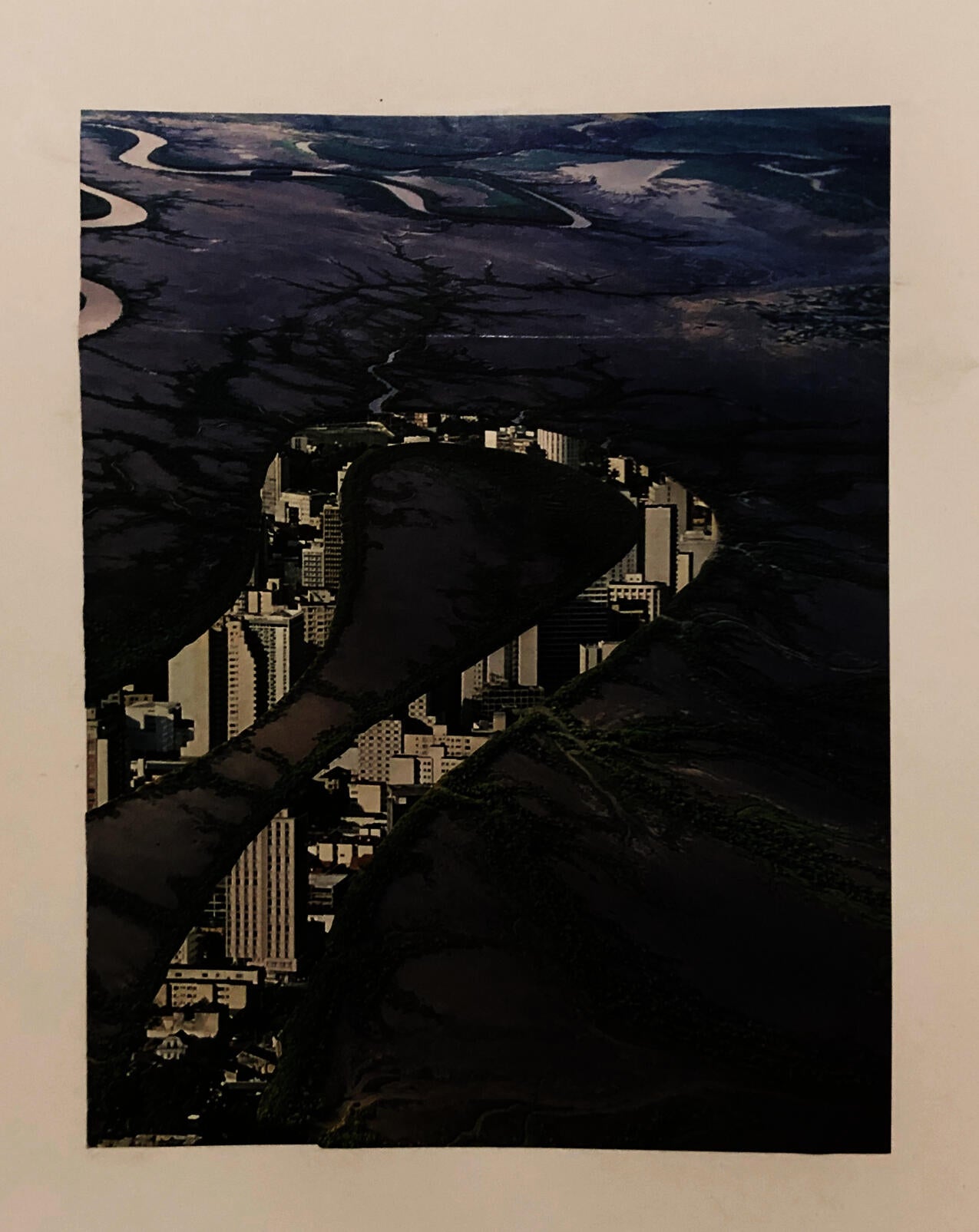 LDAR_Cornelia_Overton_Nature-Culturre-Collage_5.jpg
