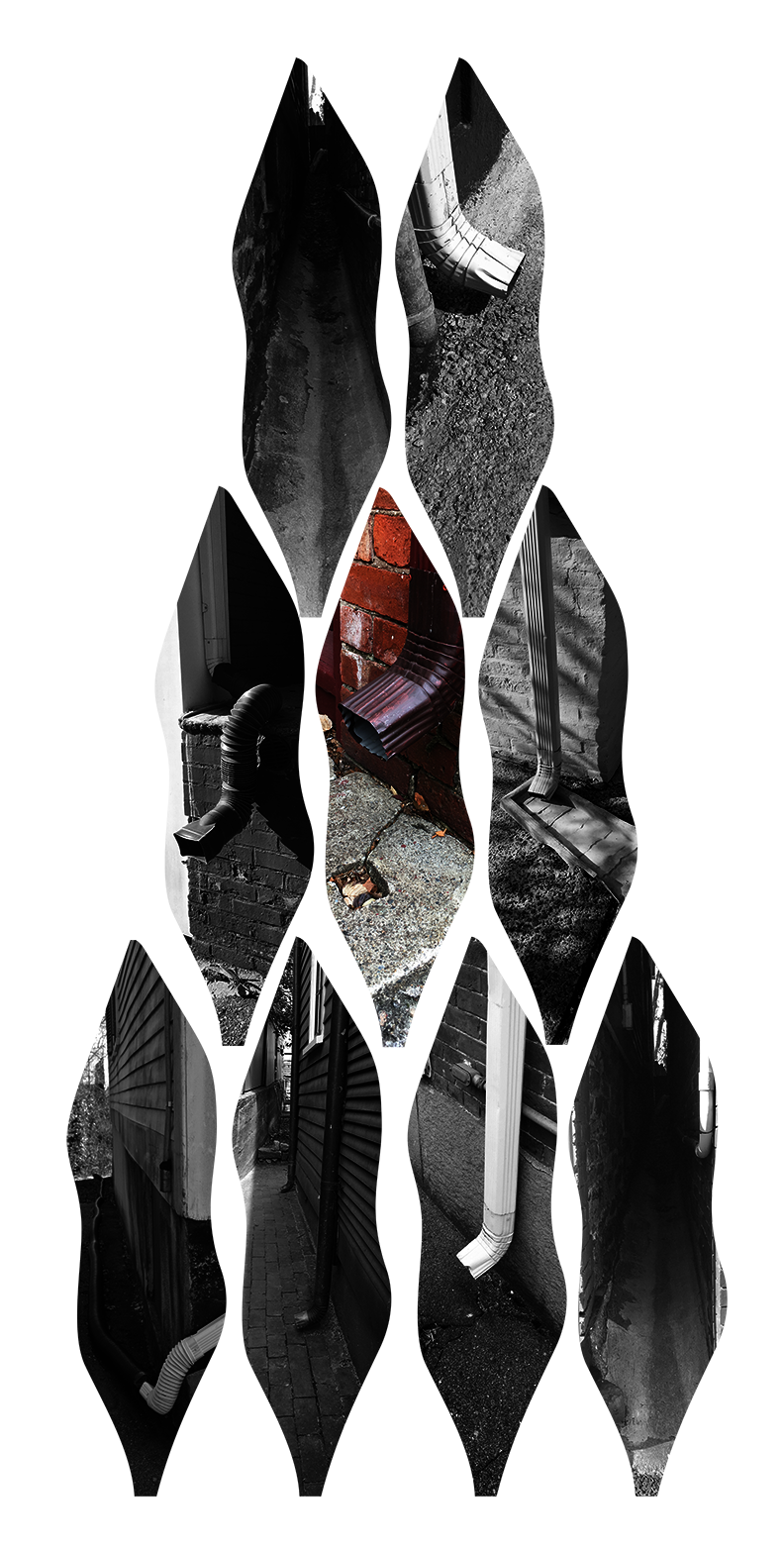 LDAR_Diana_Gallo_7_downspouts.png