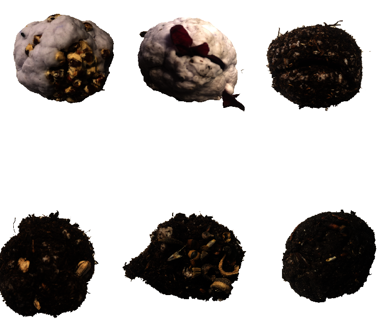 LDAR_Elisabeth_Hunt_7.PNG