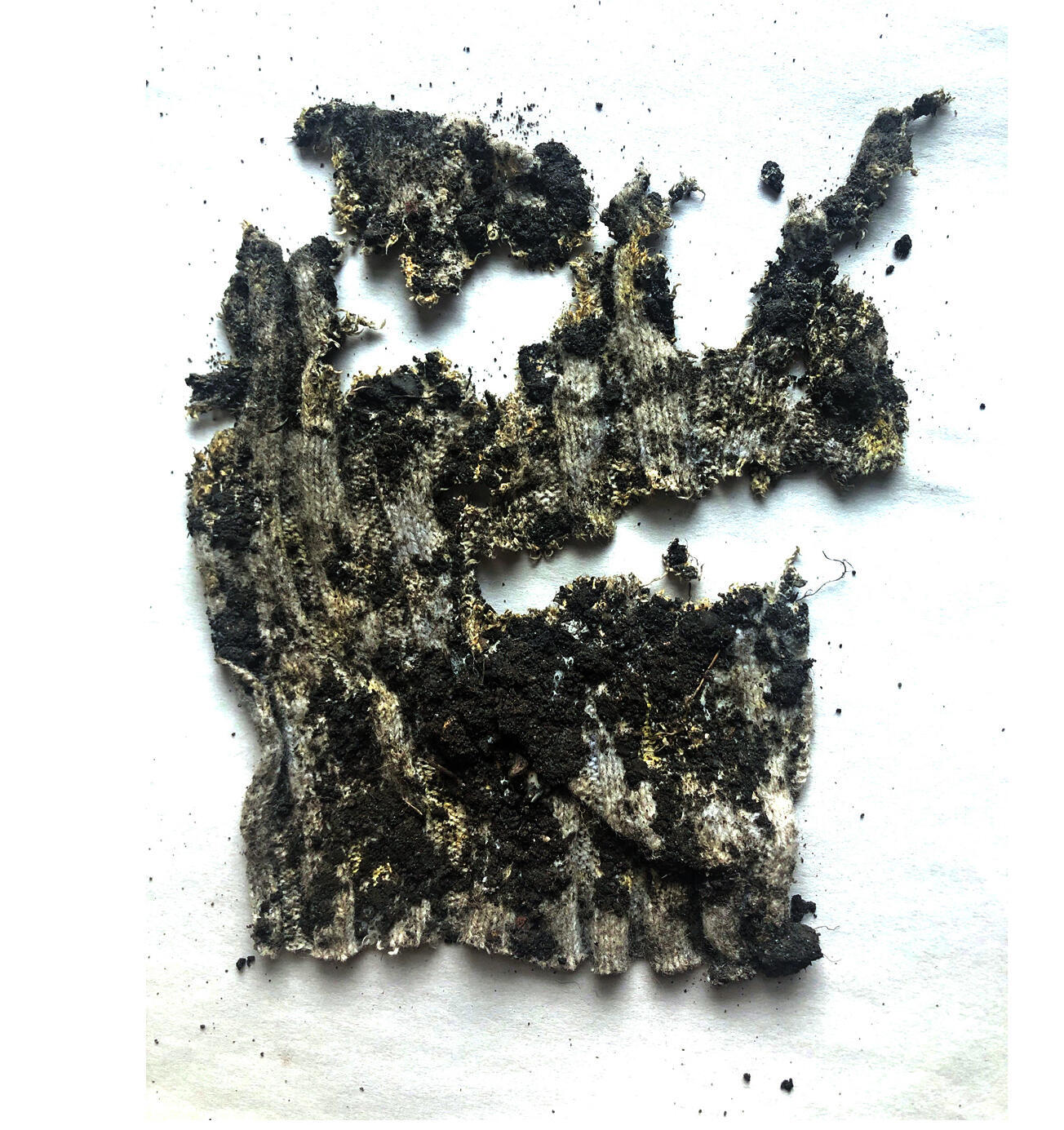 LDAR_Fengjiao_Ge_3-Fabric-biodegradability-experiment_2.jpg