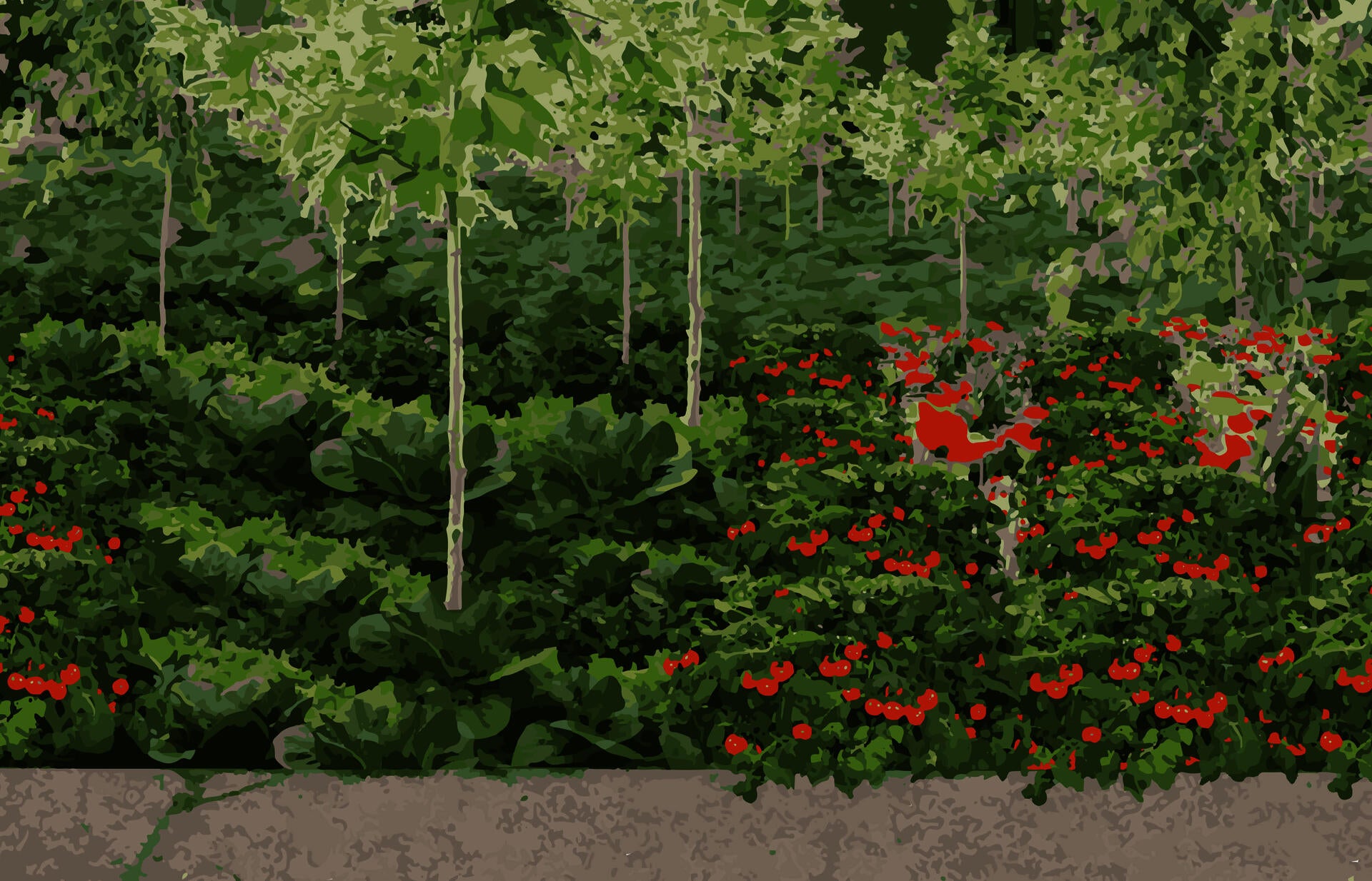 LDAR_adrienneemmerich_Trees as Asset.jpg