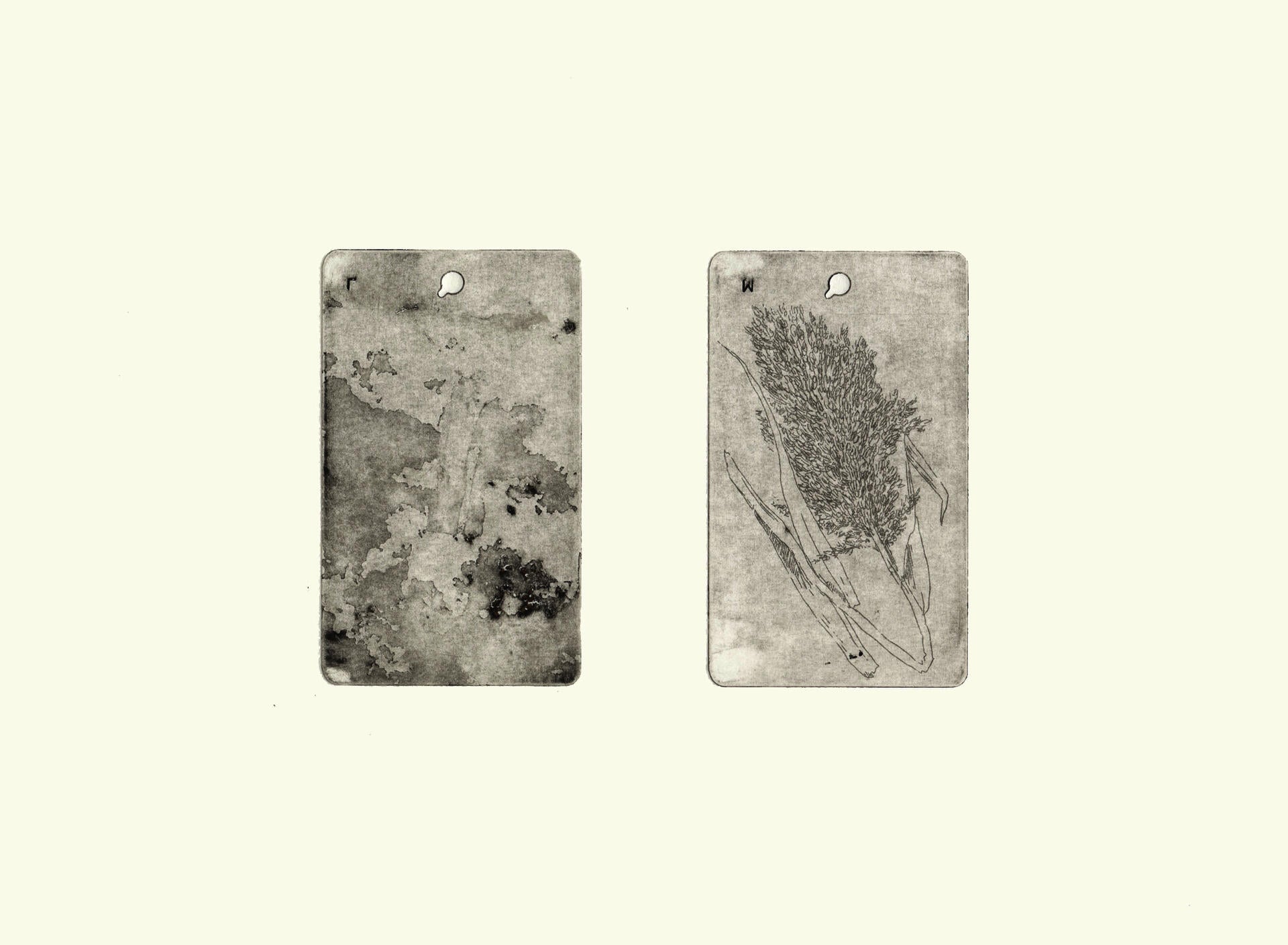 Etching on paper