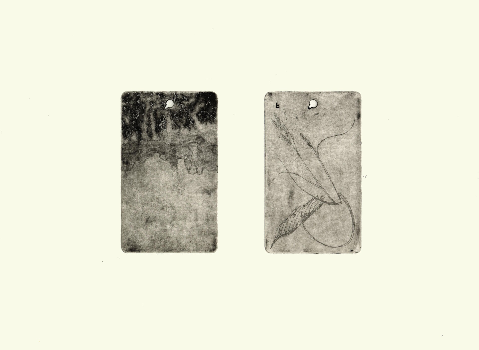 Etching on paper
