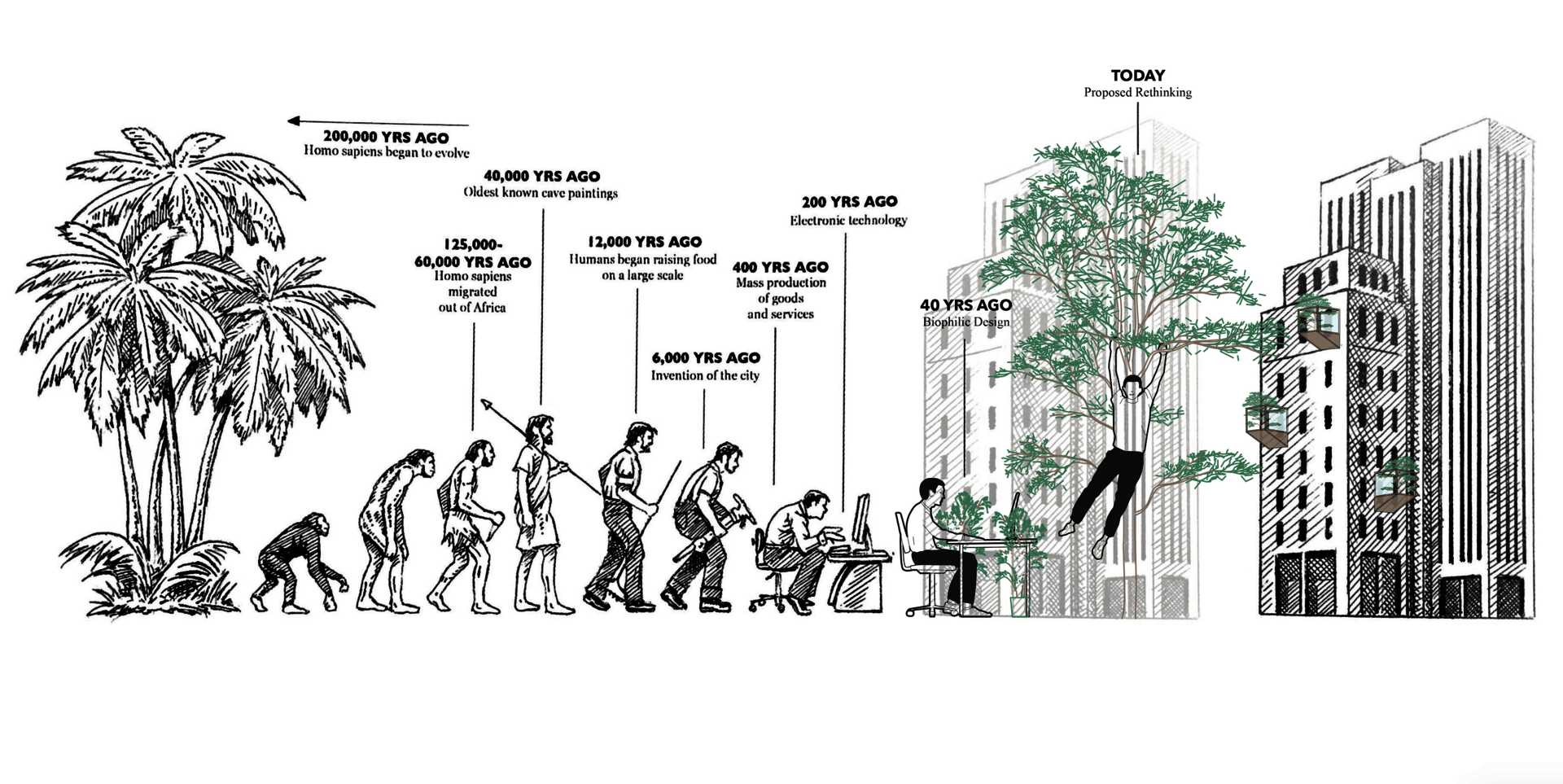 Proposed Rethinking