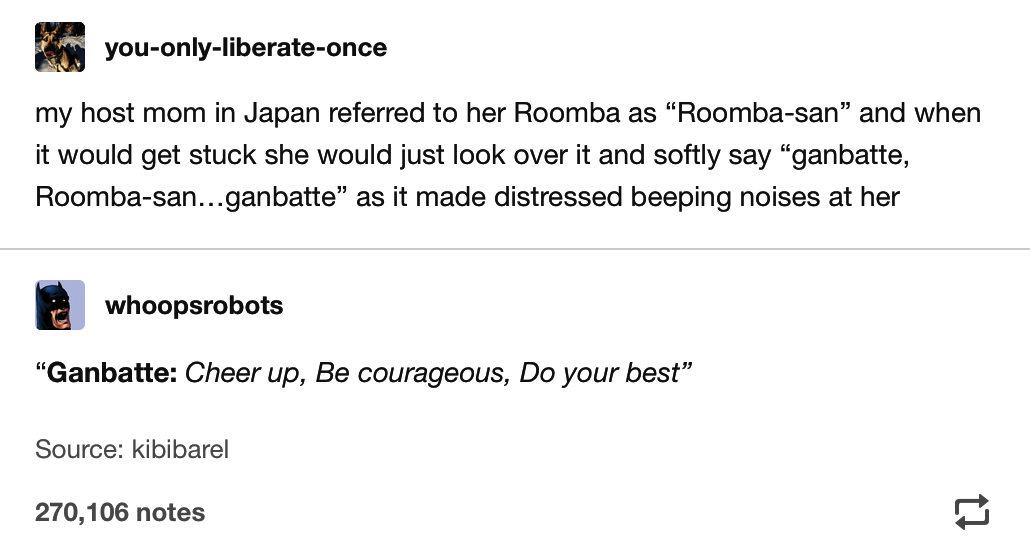 Screenshot from Tumblr: "you-only-liberate-once: my host mom in Japan referred to her Roomba as 'Roomba-san' and when it would get stuck she would just look over it and softly say 'ganbatte, Roomba-san... ganbatte' as it made distressed beeping noises at her; whoops roots: 'ganbatte: Cheer up, Be courageous, Do your best'"