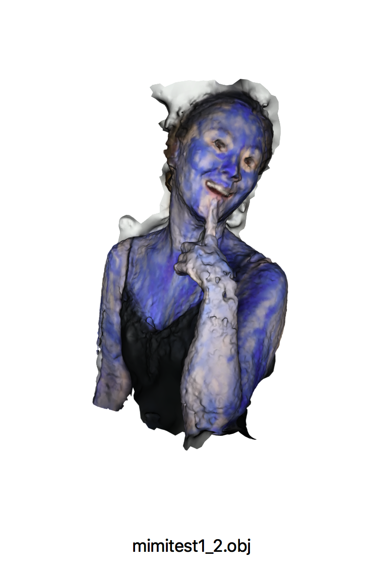 mimi captured as 3d object