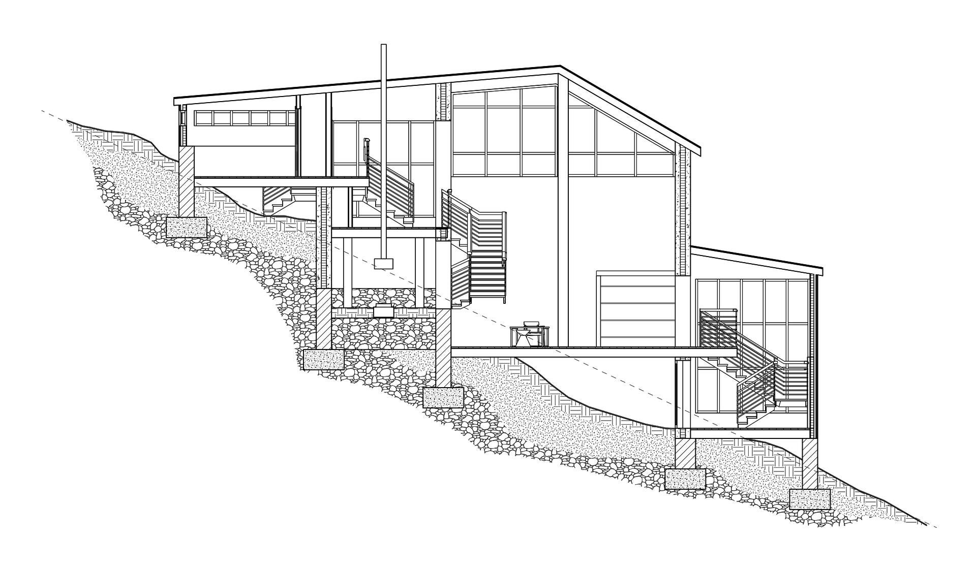 Longitudinal Section