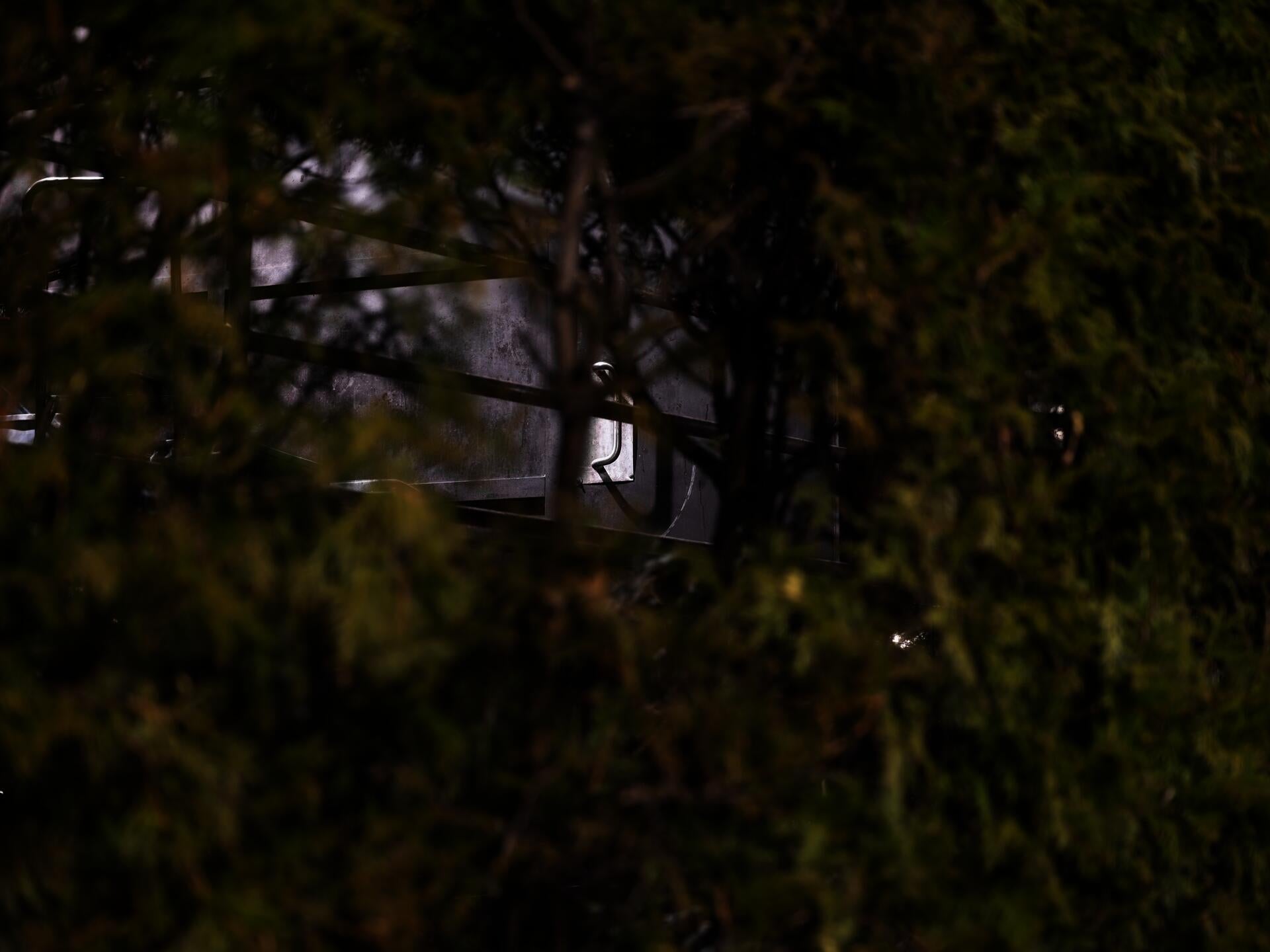 door pull through bushes