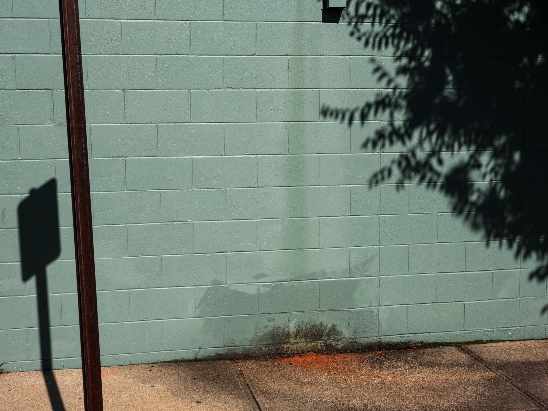 green wall with water stain