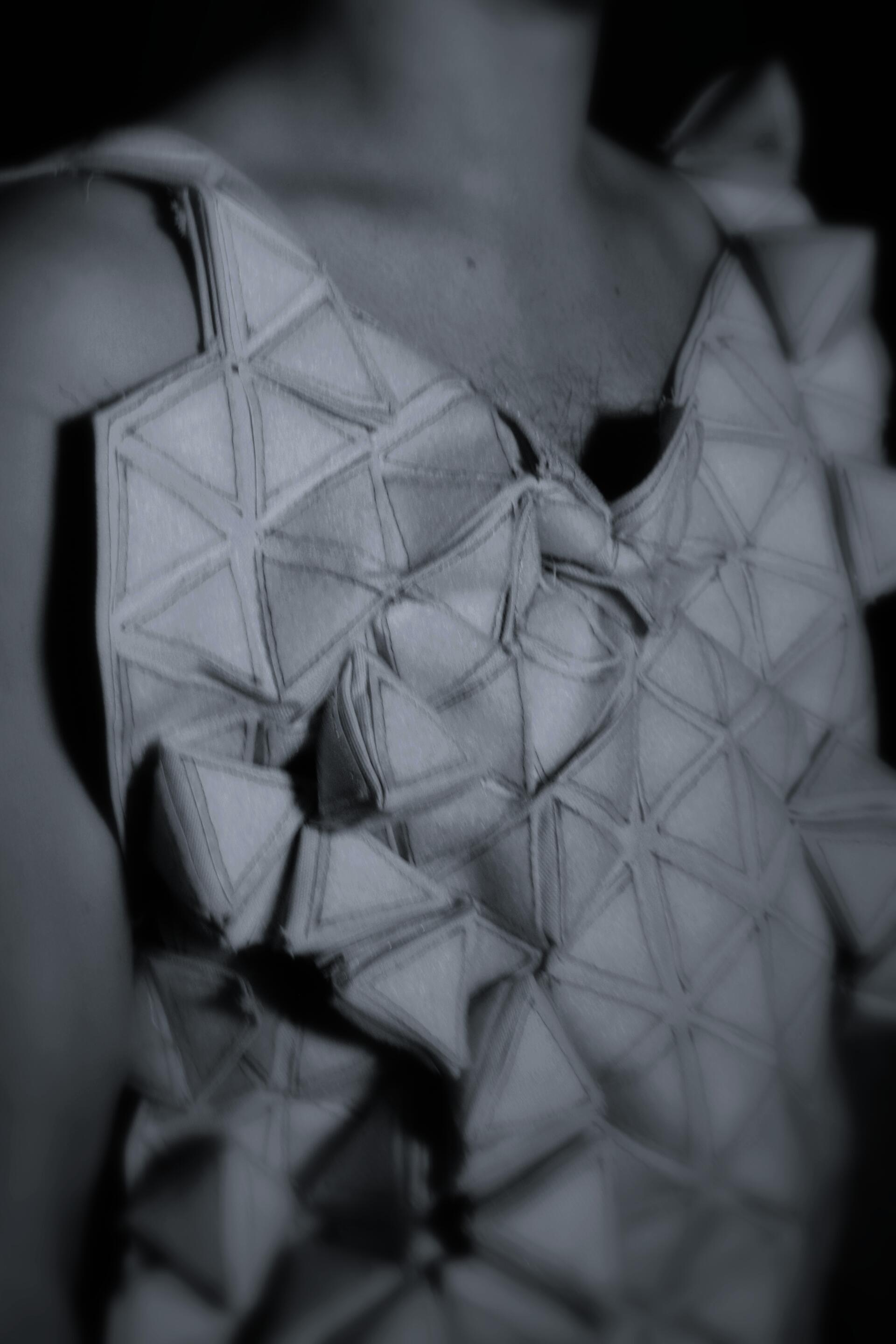 Transformable_Body_-2