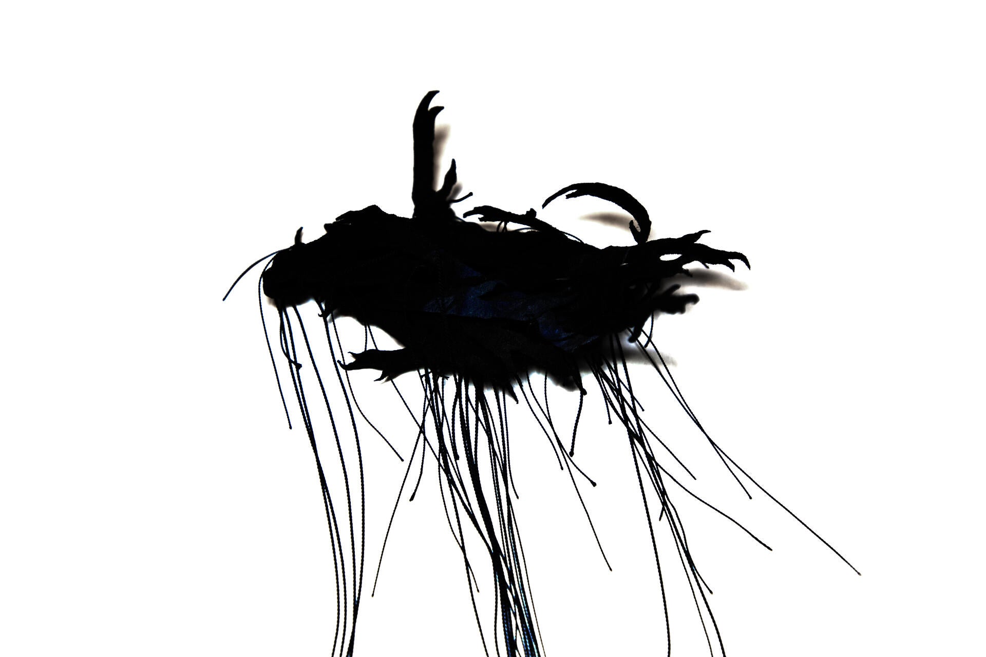 LongYuxin_A kingfisher hairpin02_1