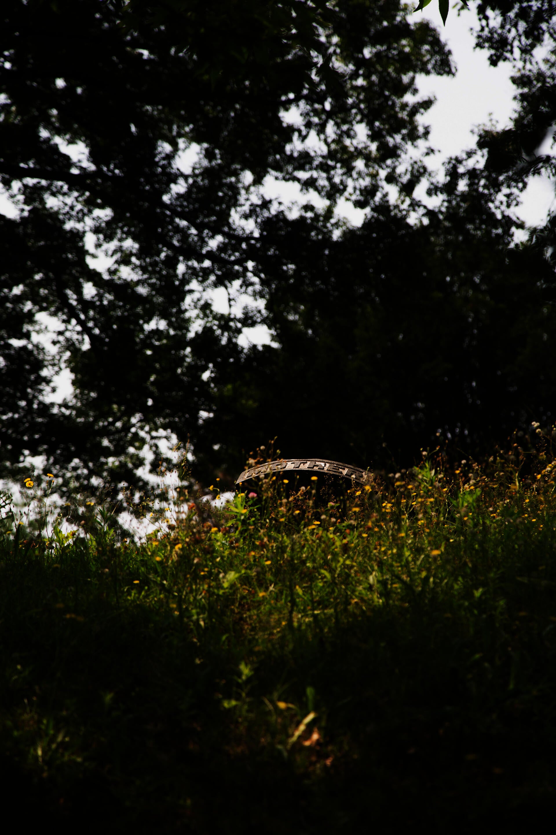 Color photograph of the very top of a gravemarker, surrounded by warm sunlight and summer grass and flowers. The top of the stone says "MOTHER".