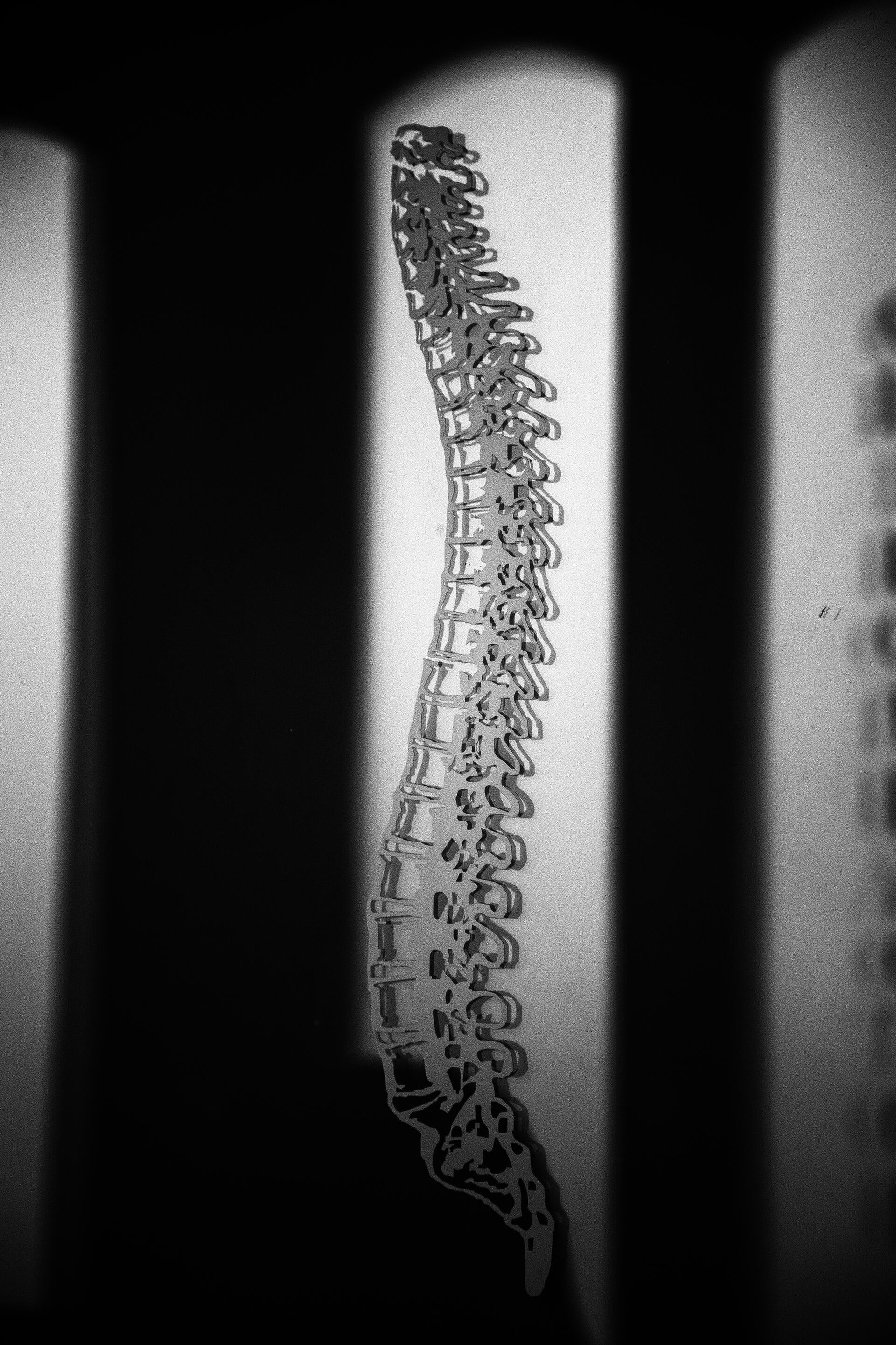 A black and white photograph of a graphic of a human spine, encased in an arch-topped shape.