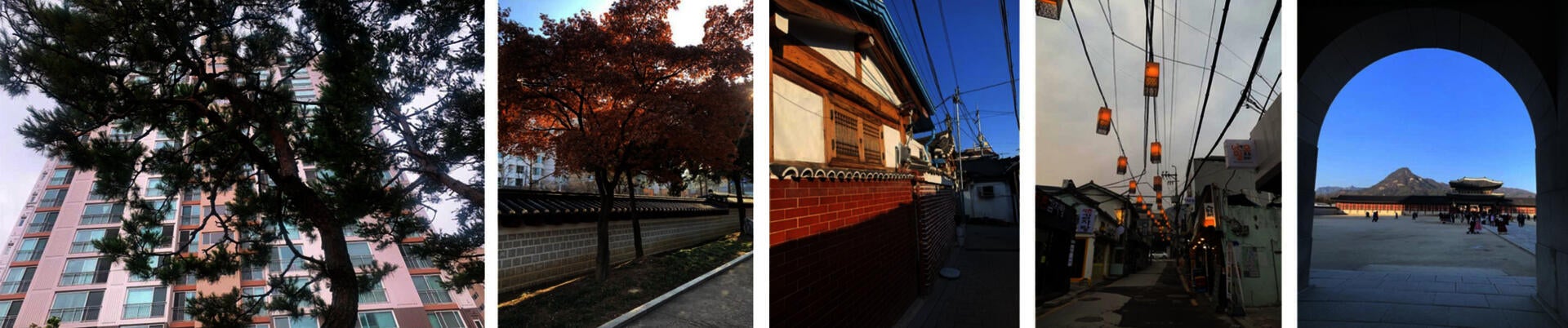 Walks in Korea 2019-2020