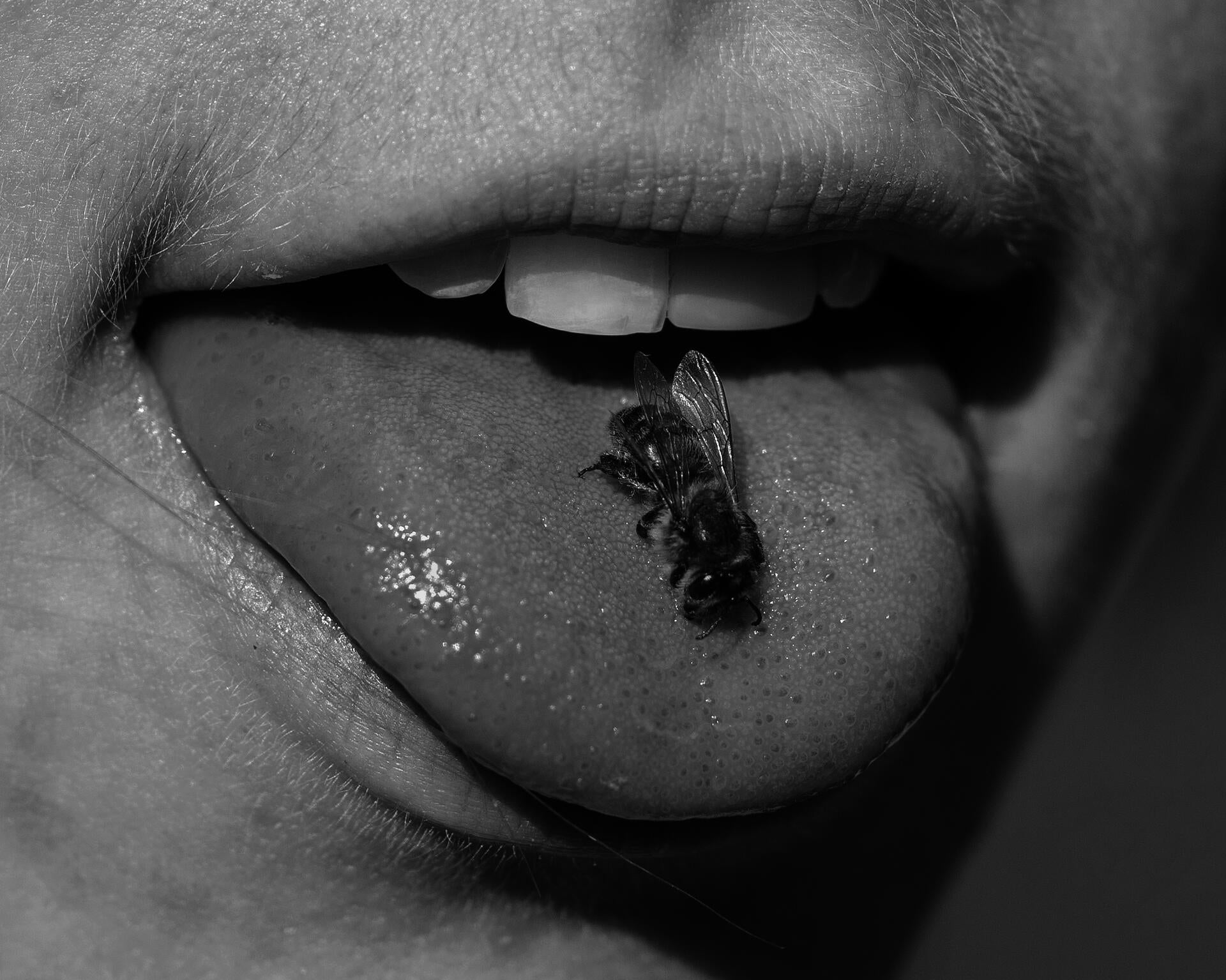 Untitled (Bee in Mouth), 2020