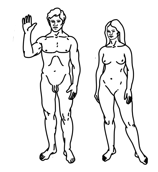 Two figures (male and female) from the Pioneer Plaque; man is waving