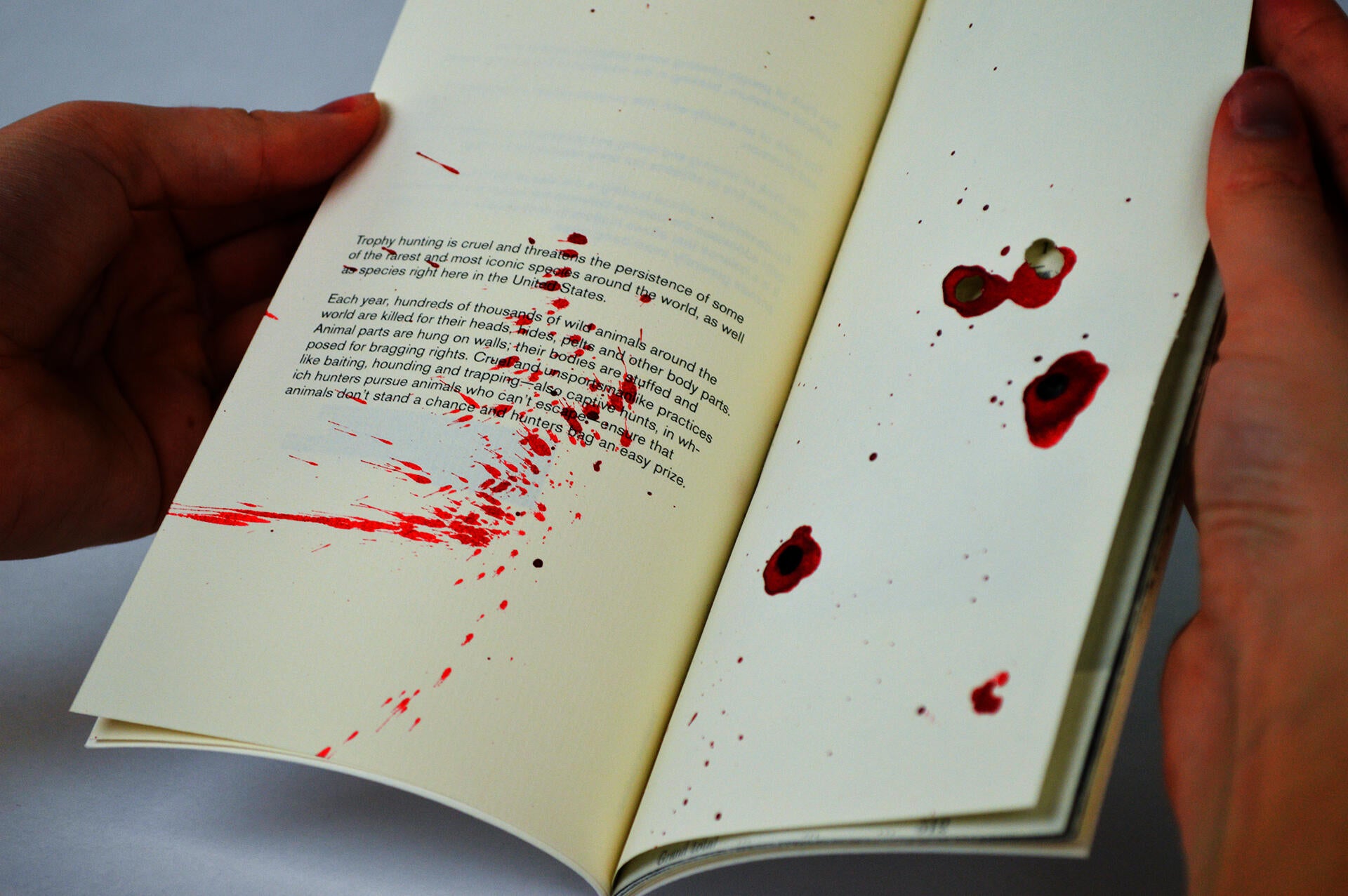 an informational typeset book on the subject of trophy hunting and the unnecessary murdering of species