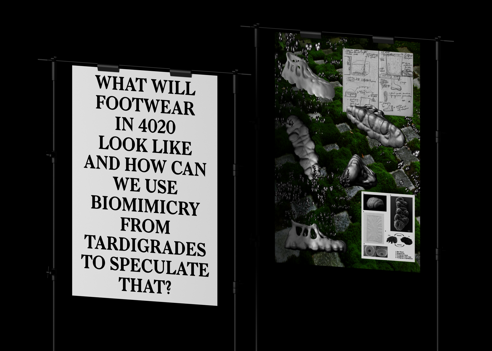 Posters about the future of footwear with the text 'What will footwear in 4020 look like and how can we use biomimicry from Tardigrades to speculate that?'