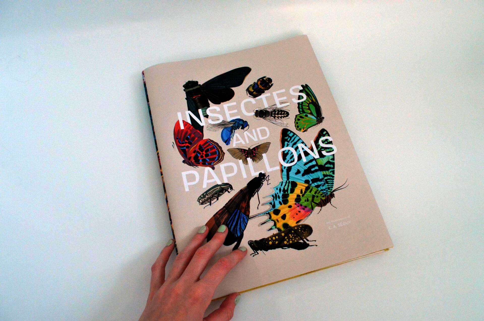 Hand holding the book 'Insectes adn Papillons'