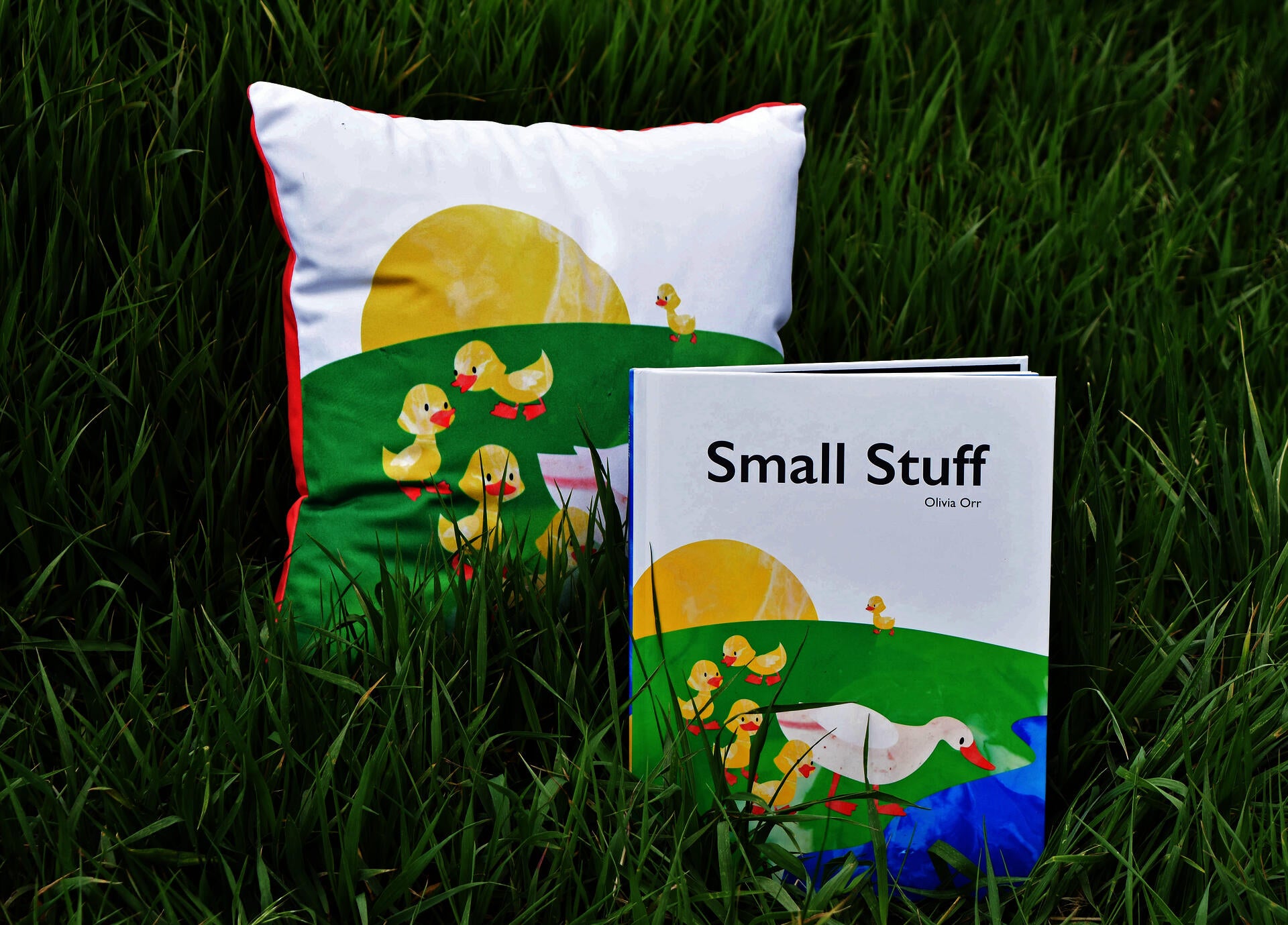An illustrated pillow and book cover with the title 'Small Stuff' in a grassy field