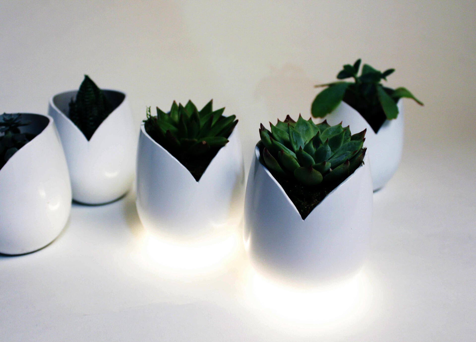 Industrial Design project by Alice Kim