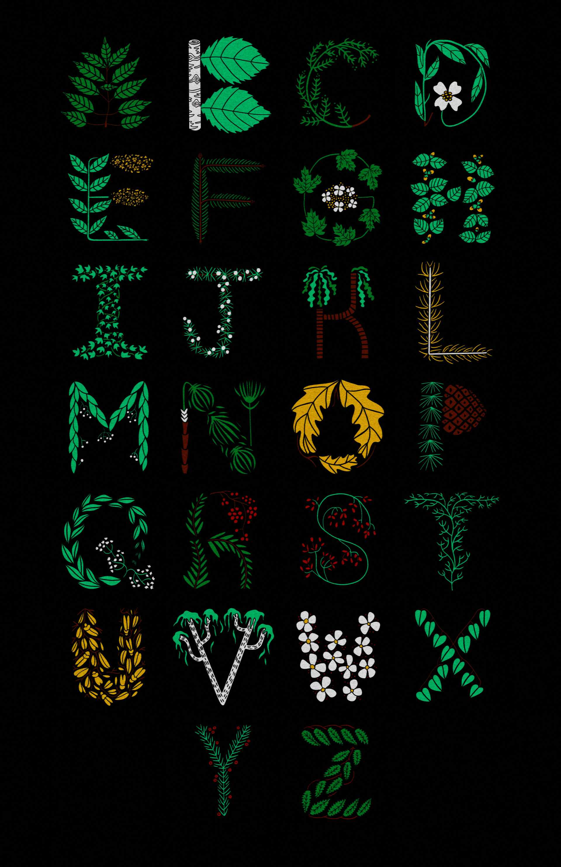celtic tree alphabet