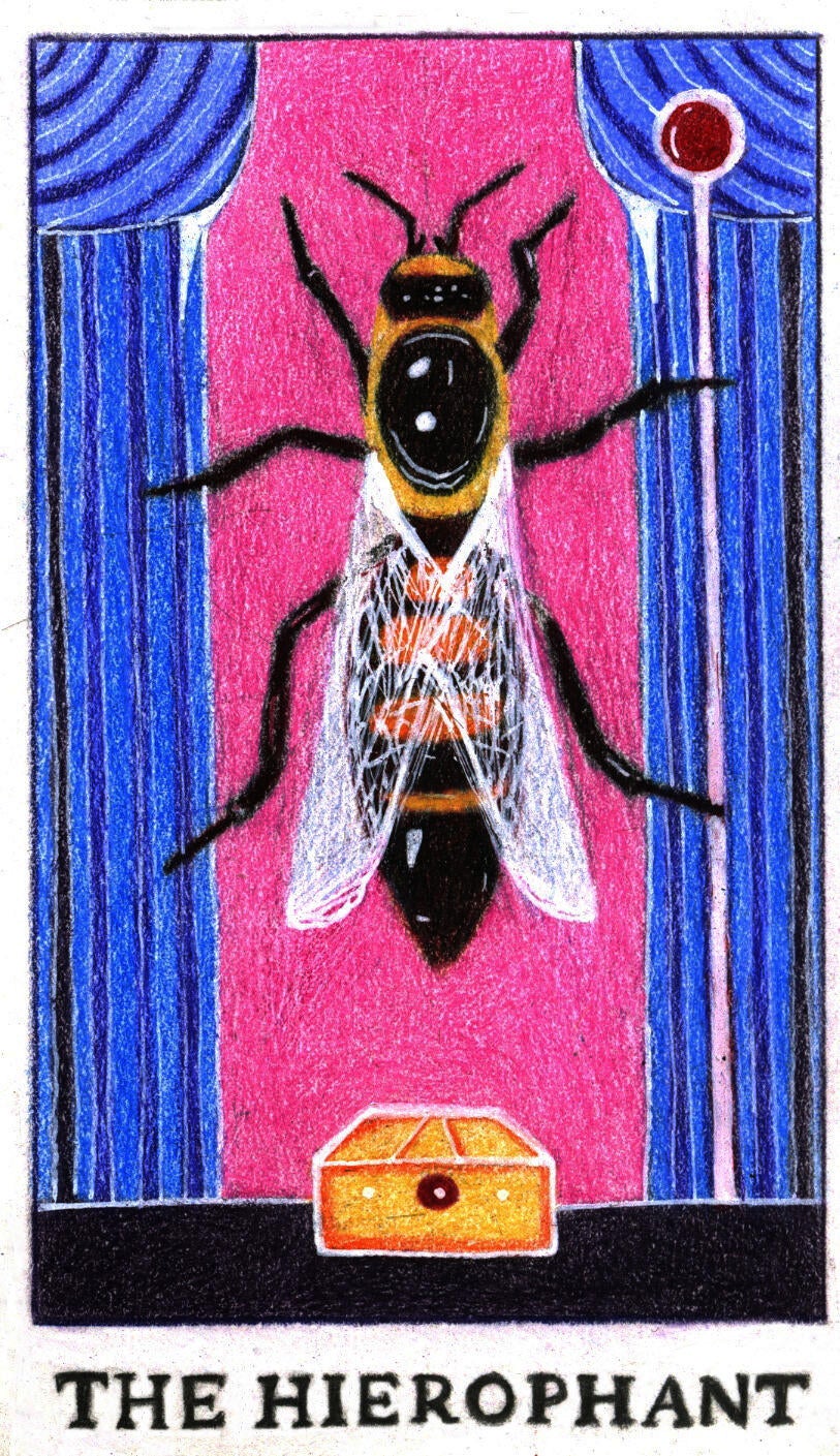 Illustration