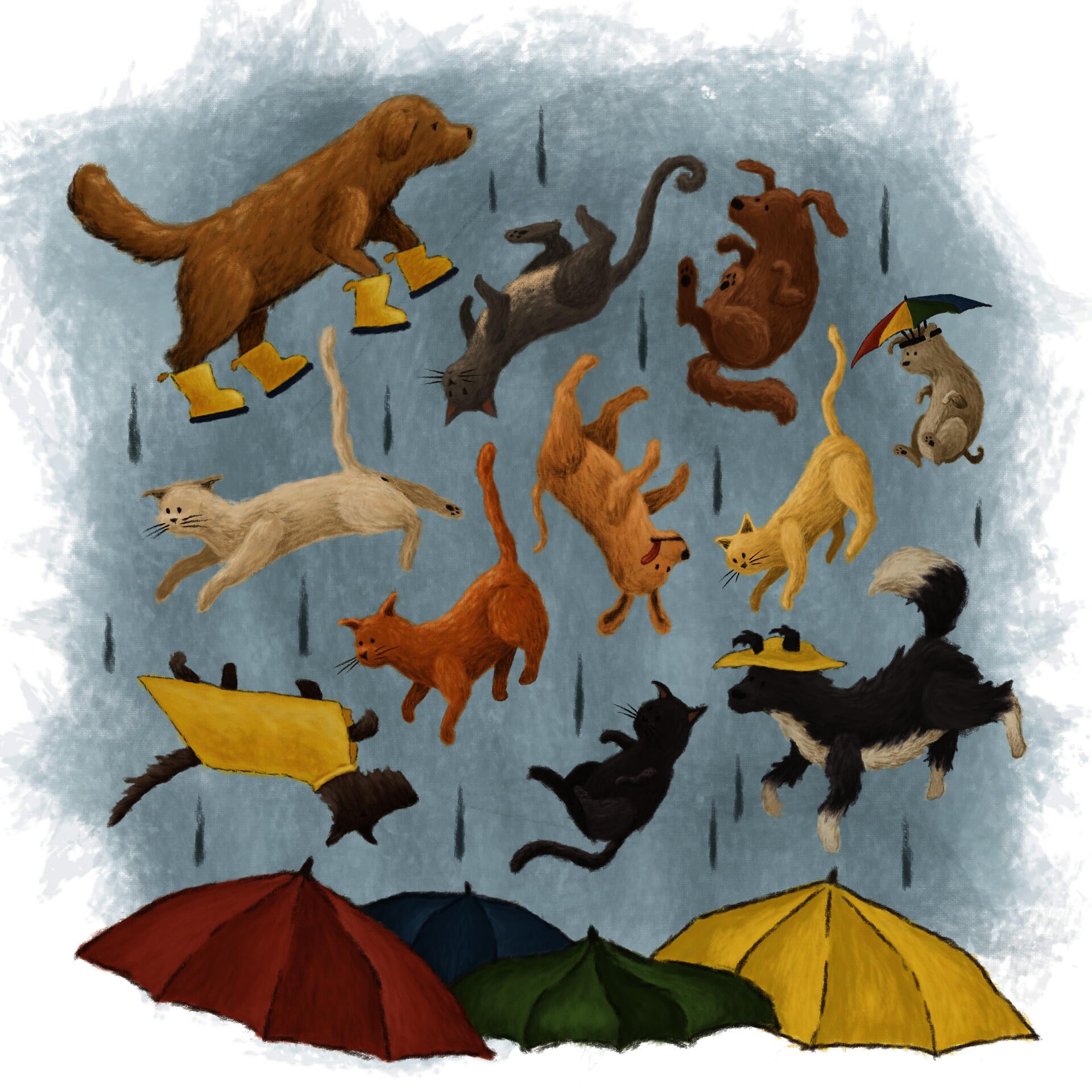 Illustration project by Molly Sarah Klotzer