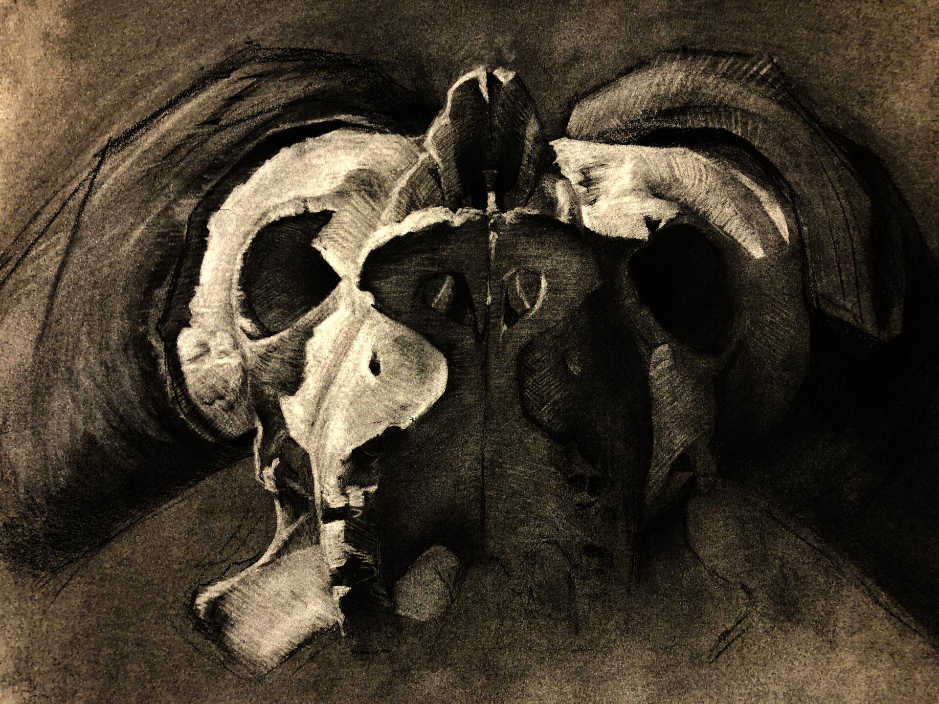 Illustration project by Laura O'Bannon