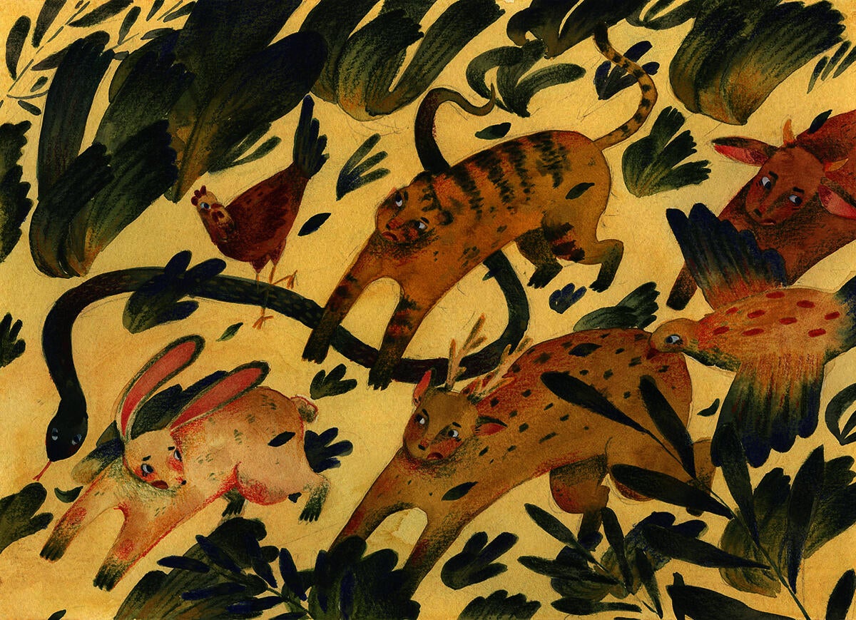 illustration