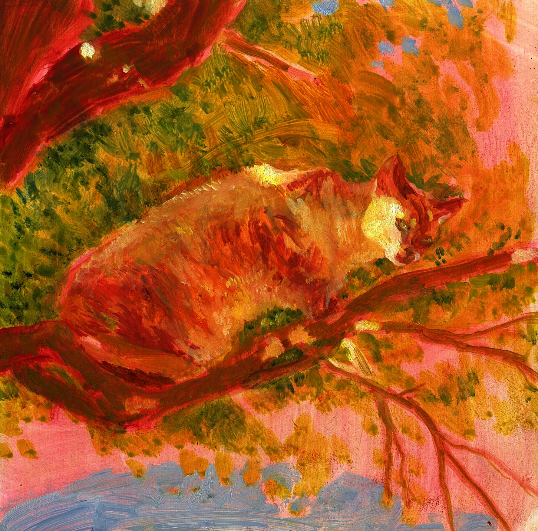 a cat resting on a tree branch