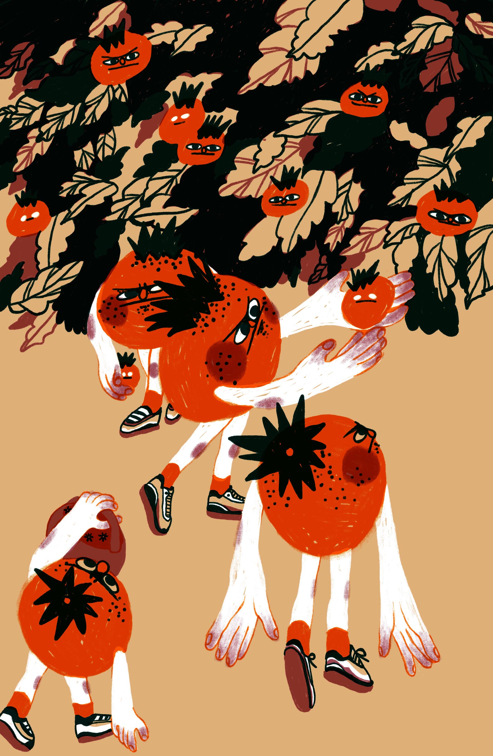 Illustration