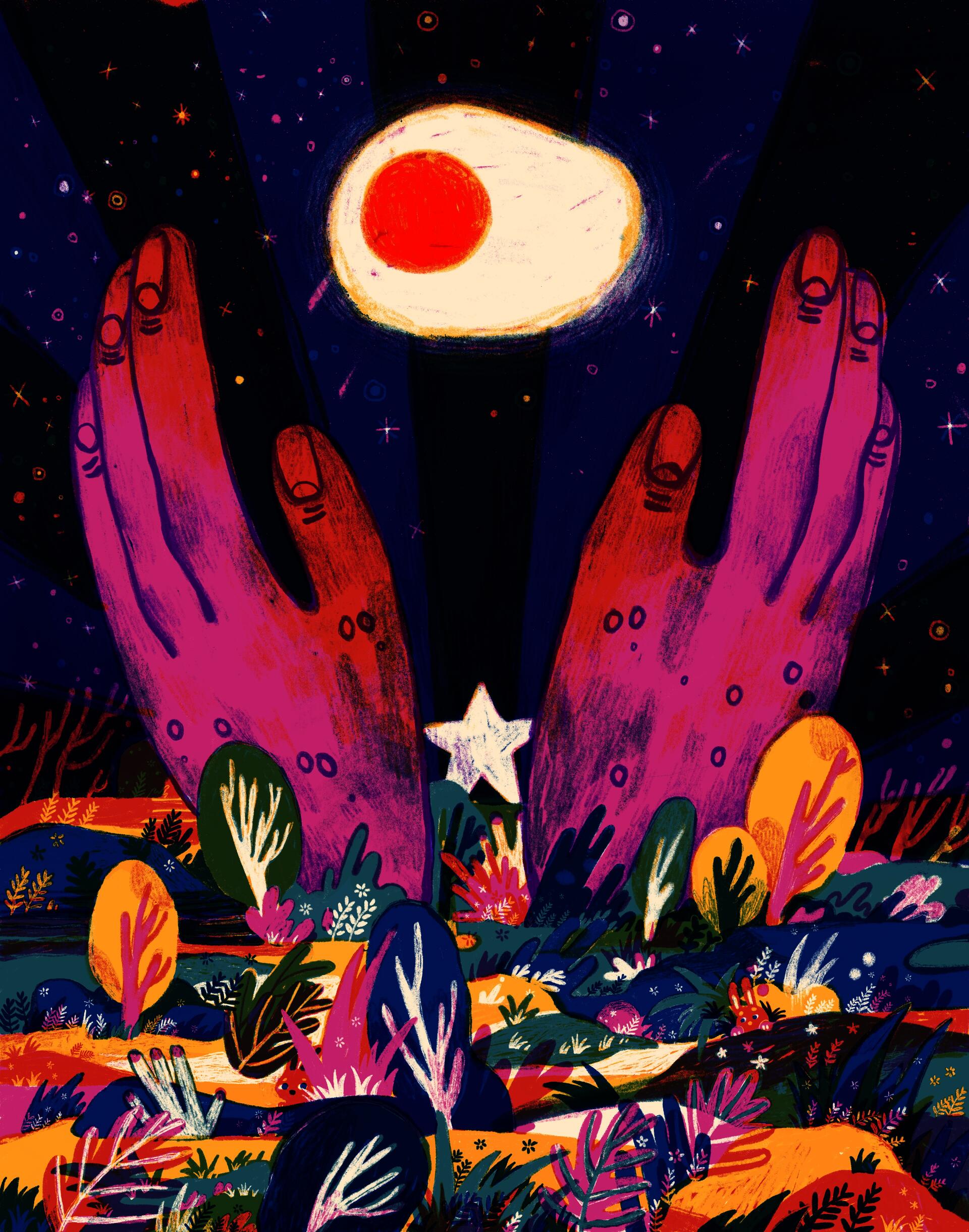 Illustration