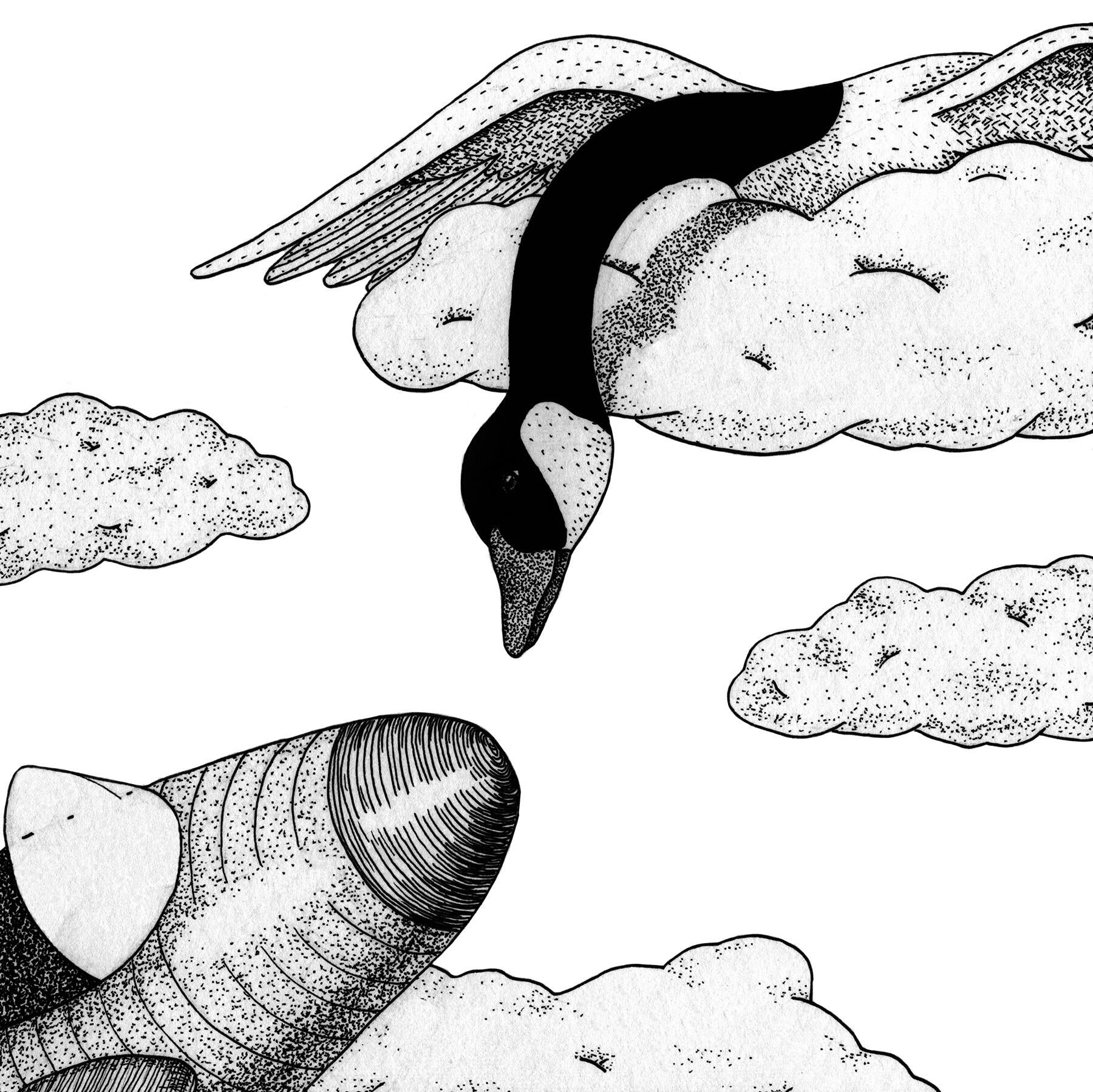 Illustration project by Amanda Booth