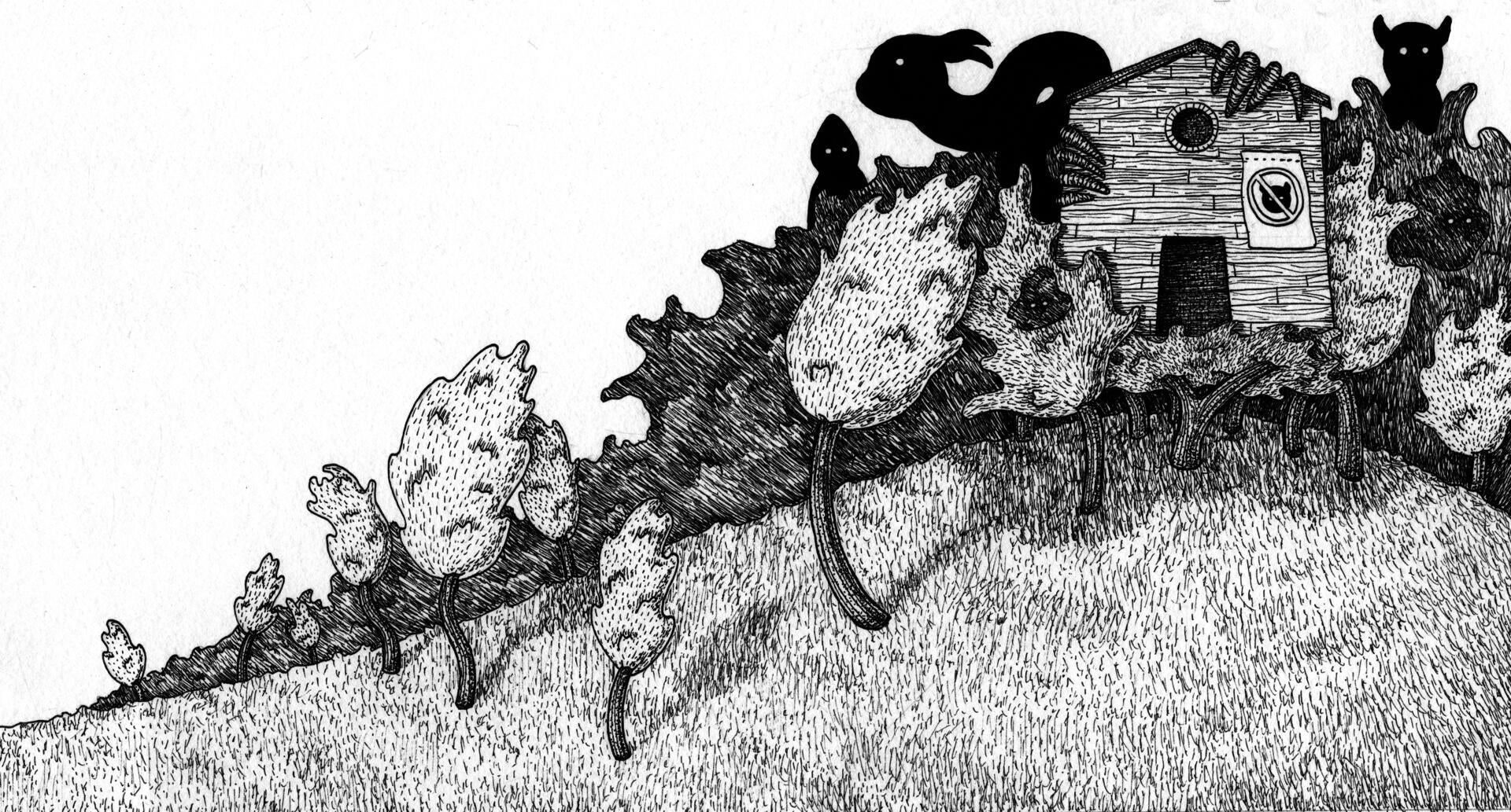 Illustration project by Amanda Booth