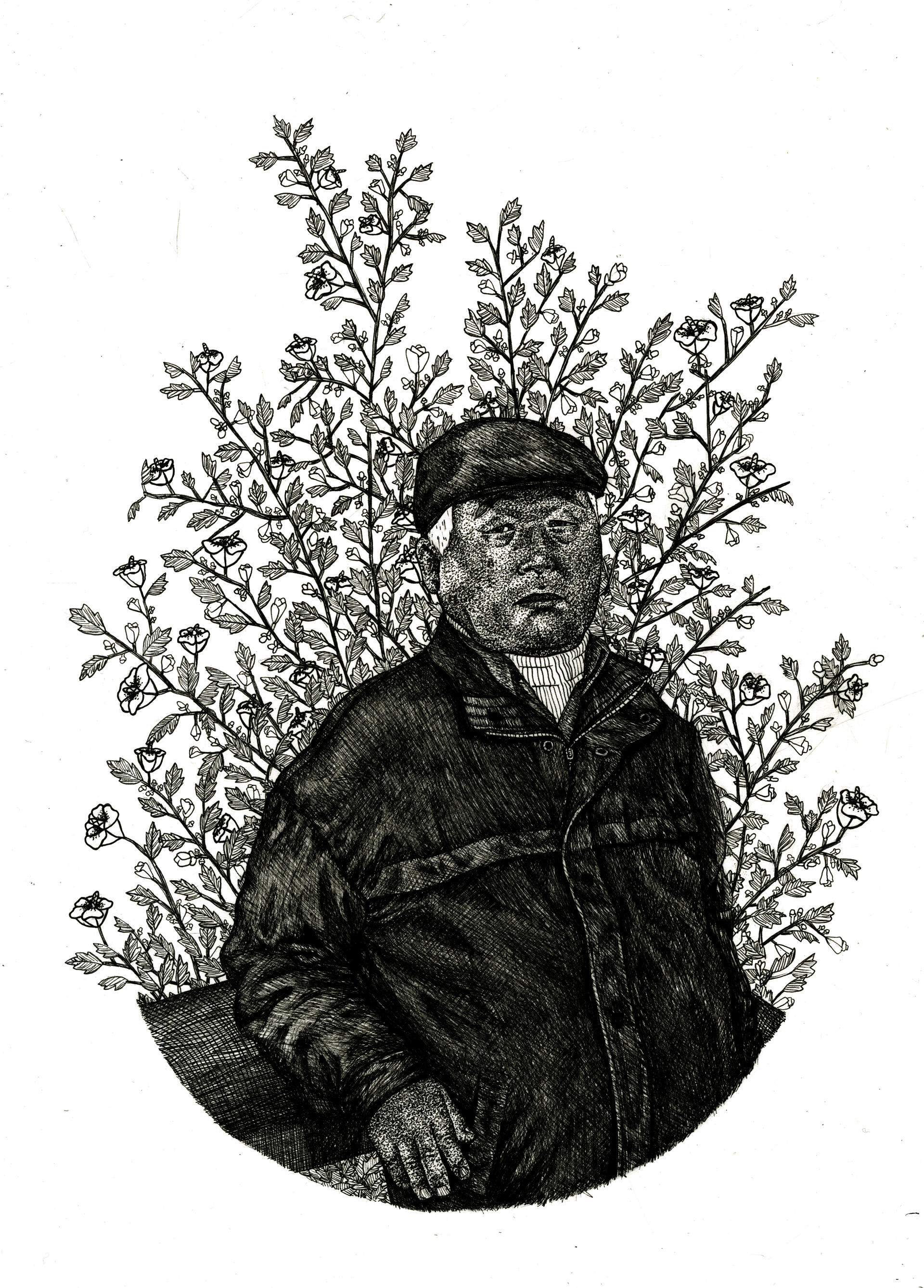 Illustration project by Amanda Booth