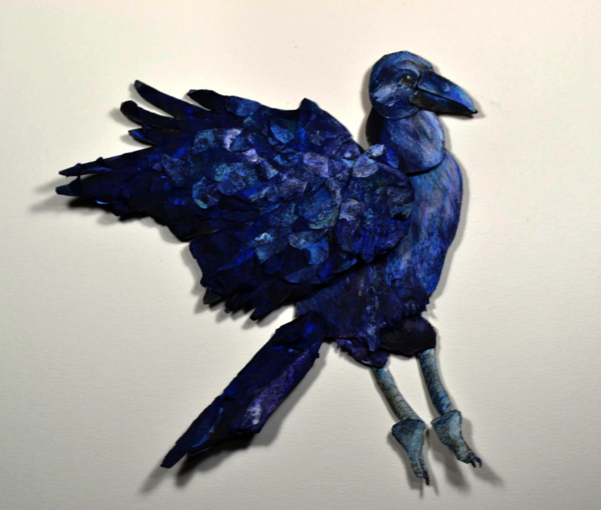 Illustration project by Sue Farfan