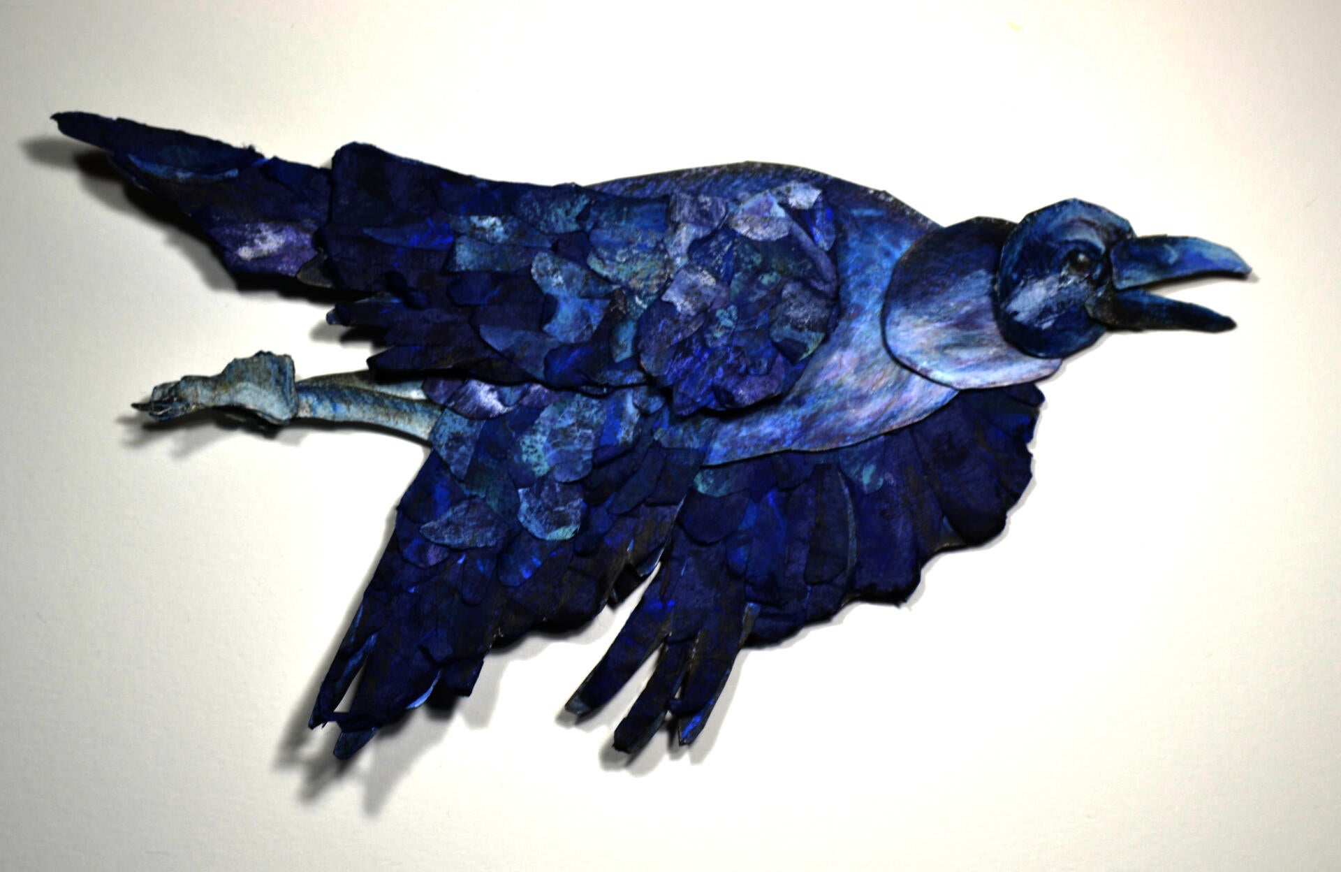 Illustration project by Sue Farfan