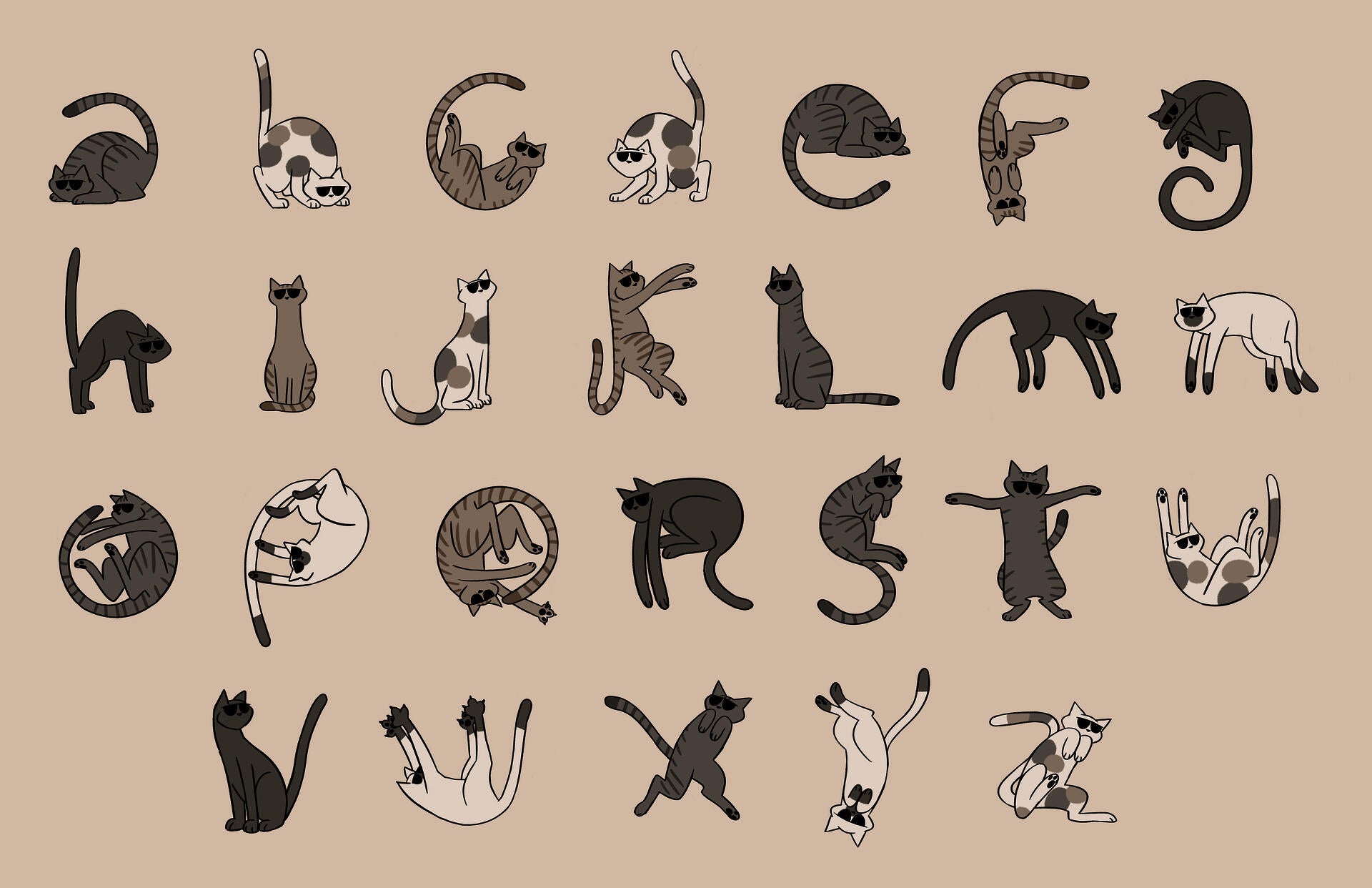 Illustration project by Katt McCann