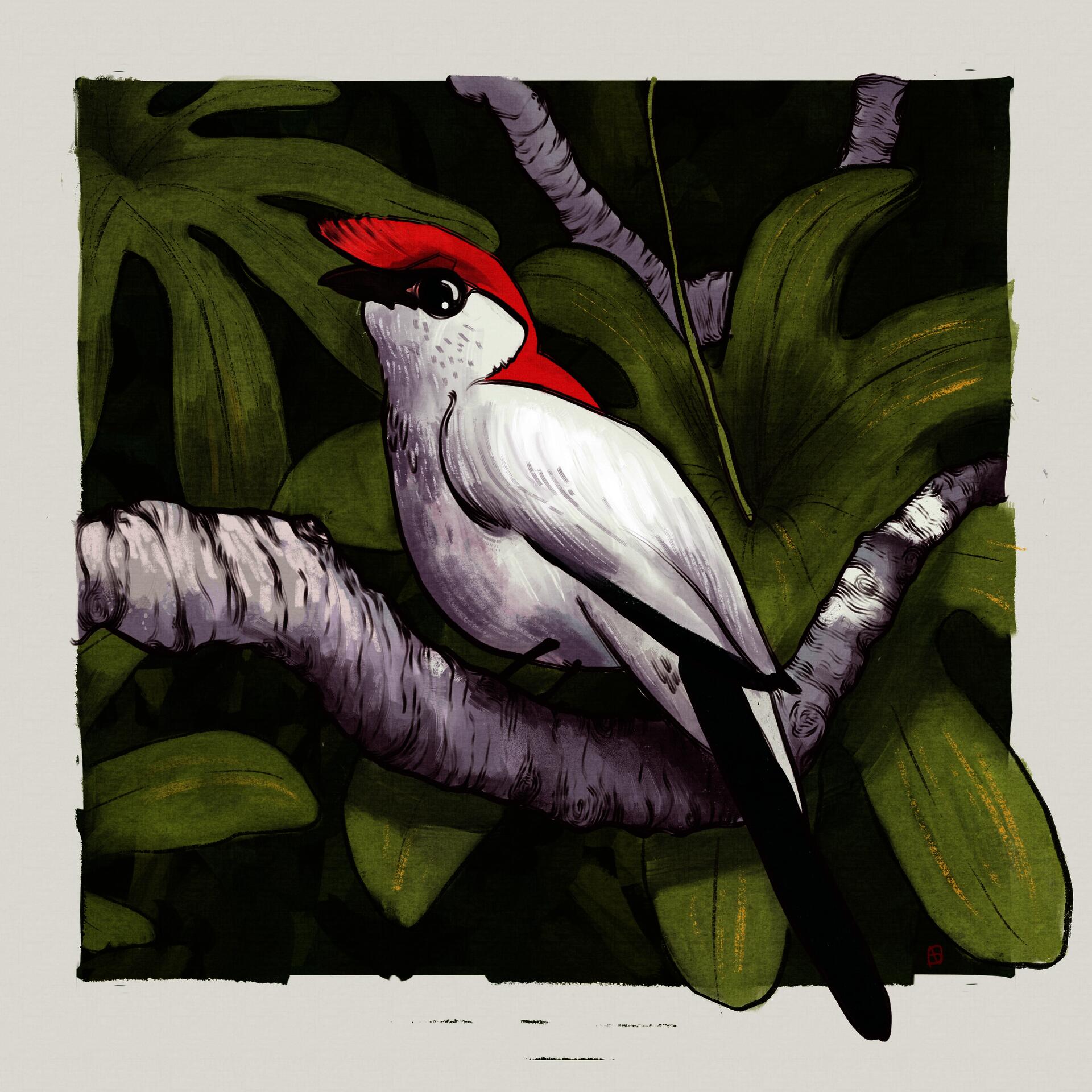 Illustration