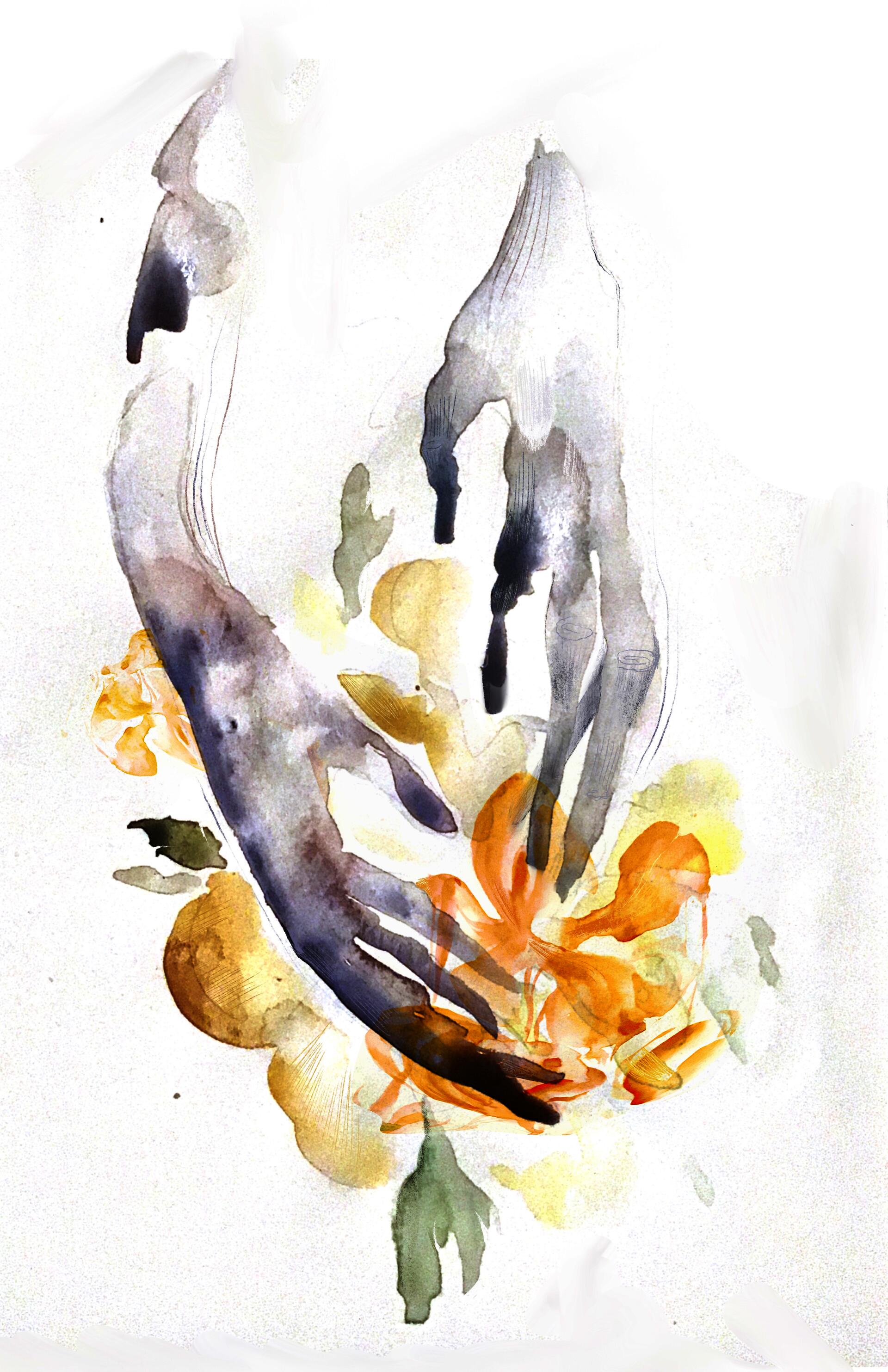 Illustration project by Stacey Wheeler