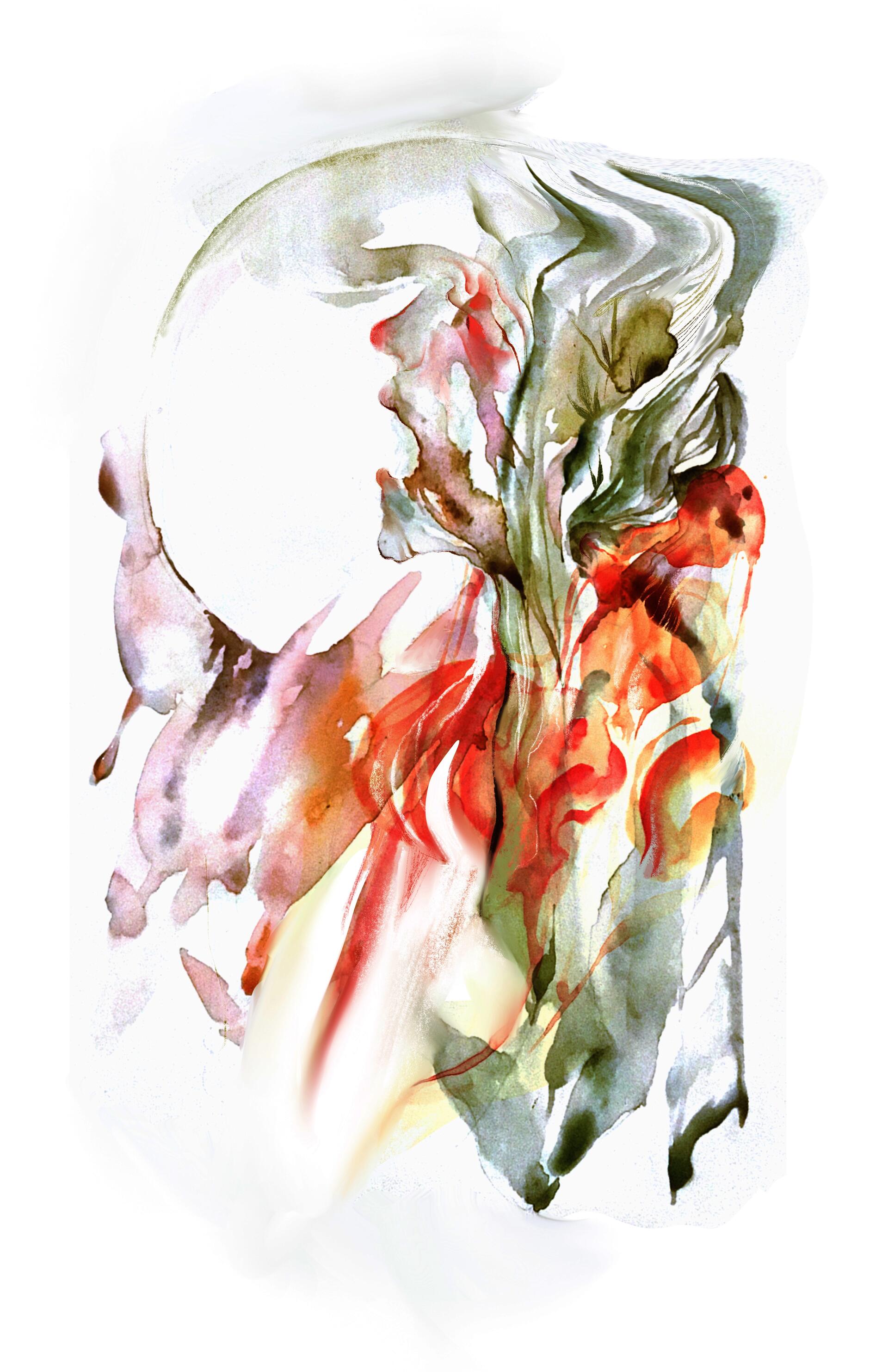 Illustration project by Stacey Wheeler