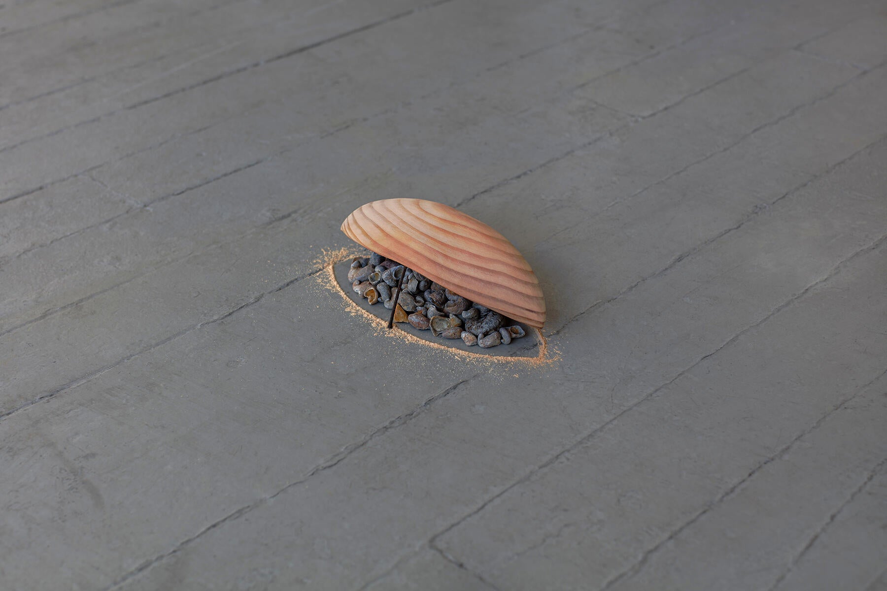Shells