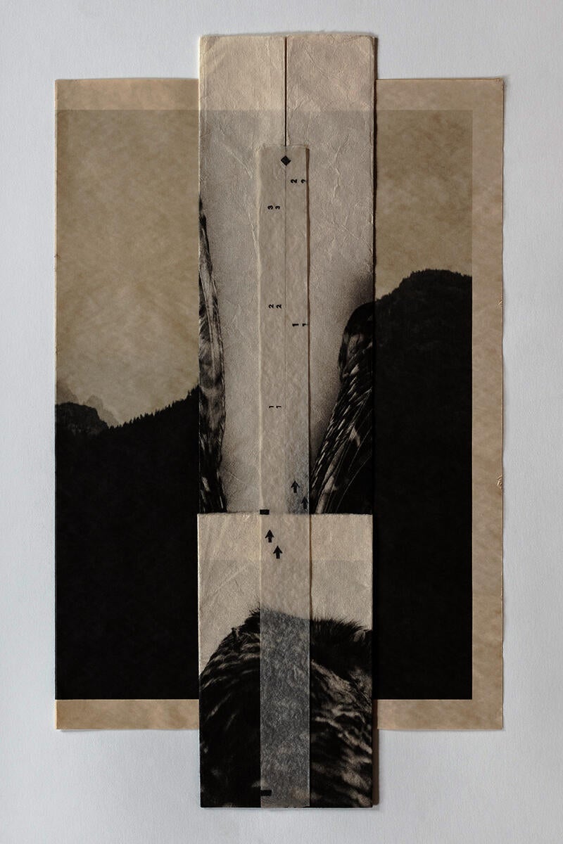pigment print